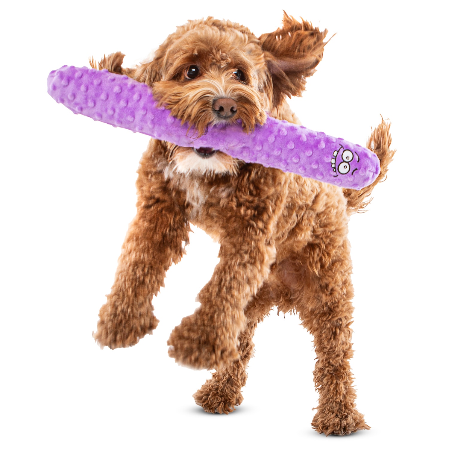 GURU G0850048425835 Dog-Toys - View #5