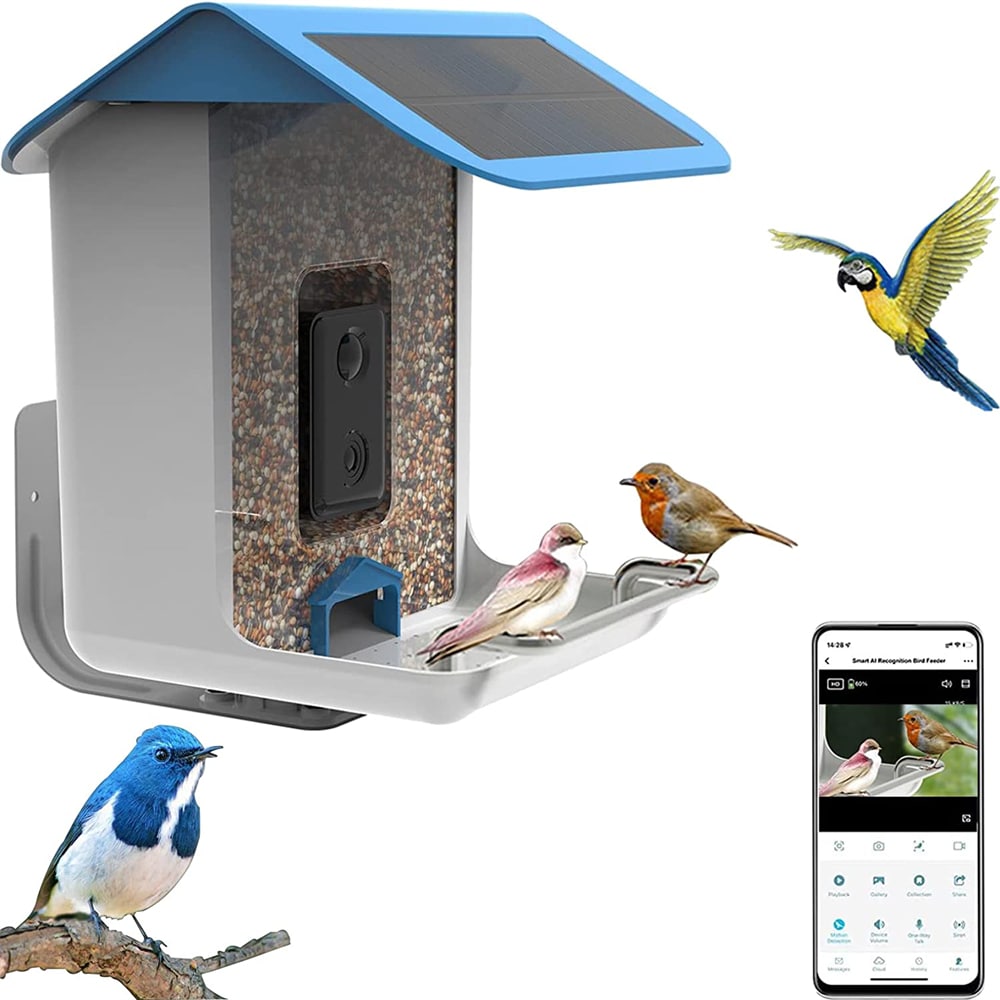 Green Feathers  Bird Box Cameras, Wildlife Cameras, Wildlife Habitats