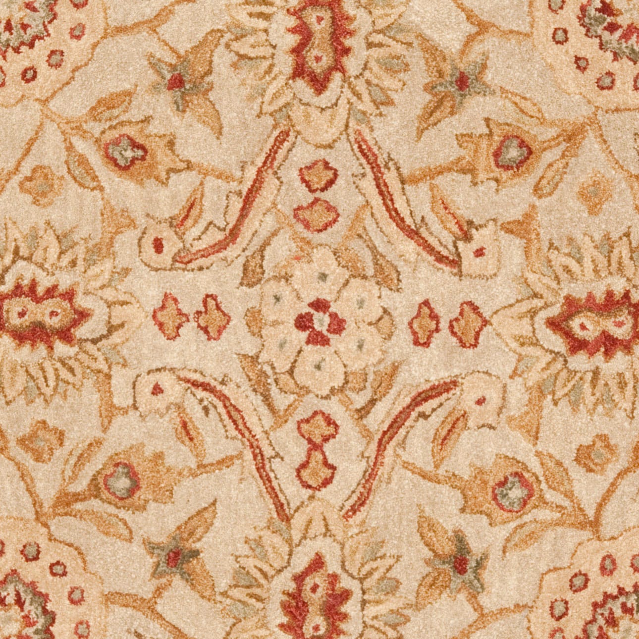 Safavieh AN516B-6R rugs - View #4