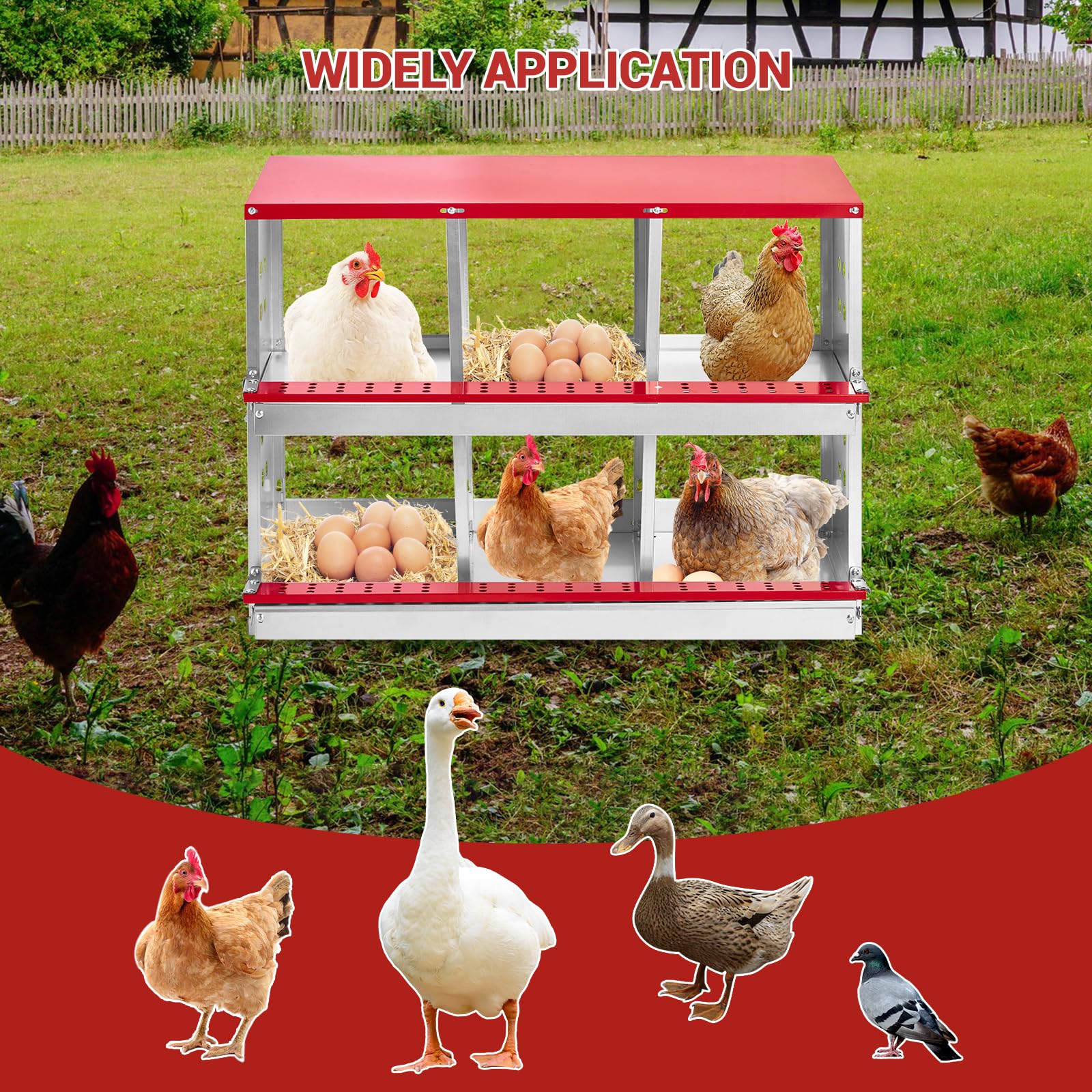 DEXSO ENCOREPHOBA5264 Chicken-Coops-Rabbit-Hutches - View #6