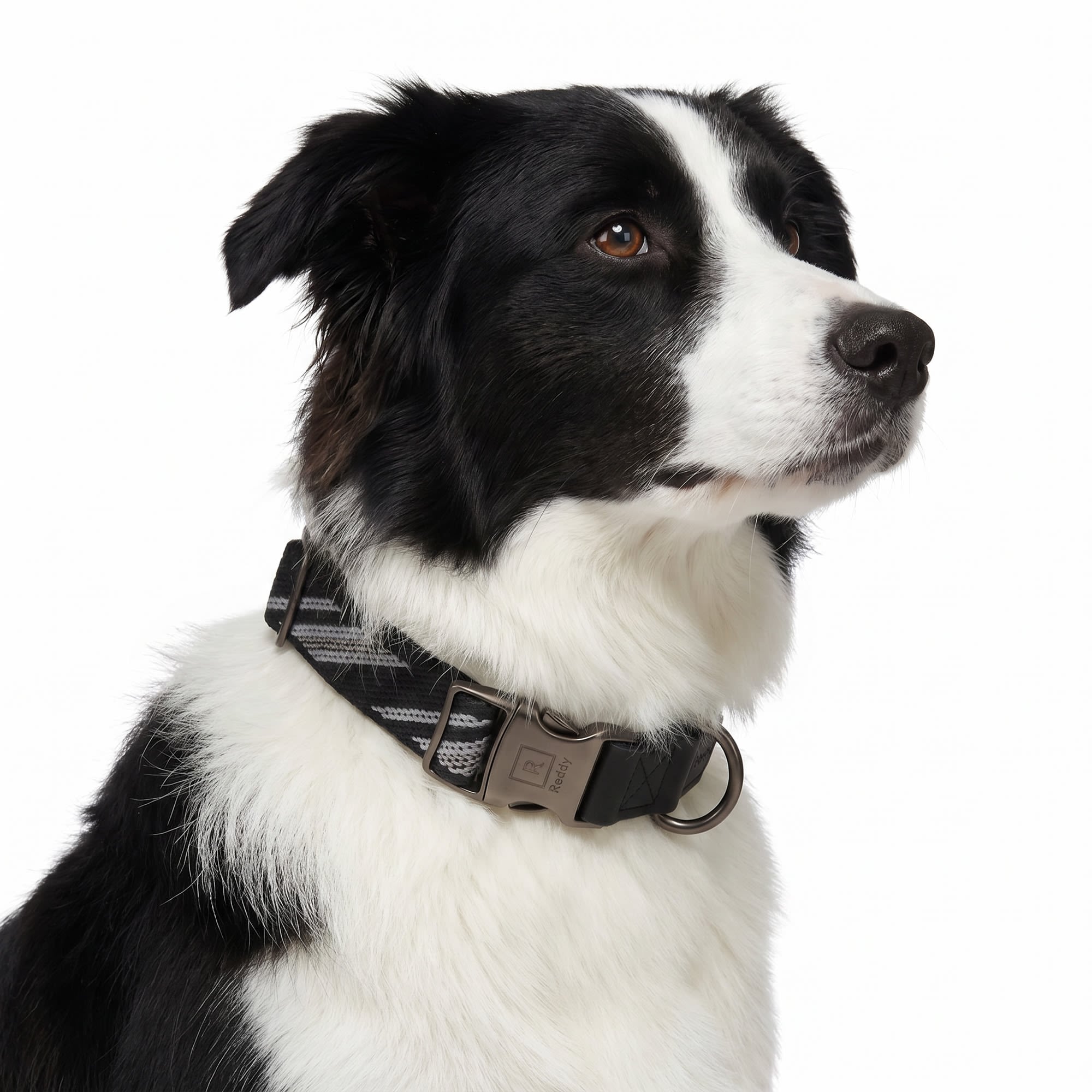 Reddy 4610711 Dog-Collars-Harnesses - View #3