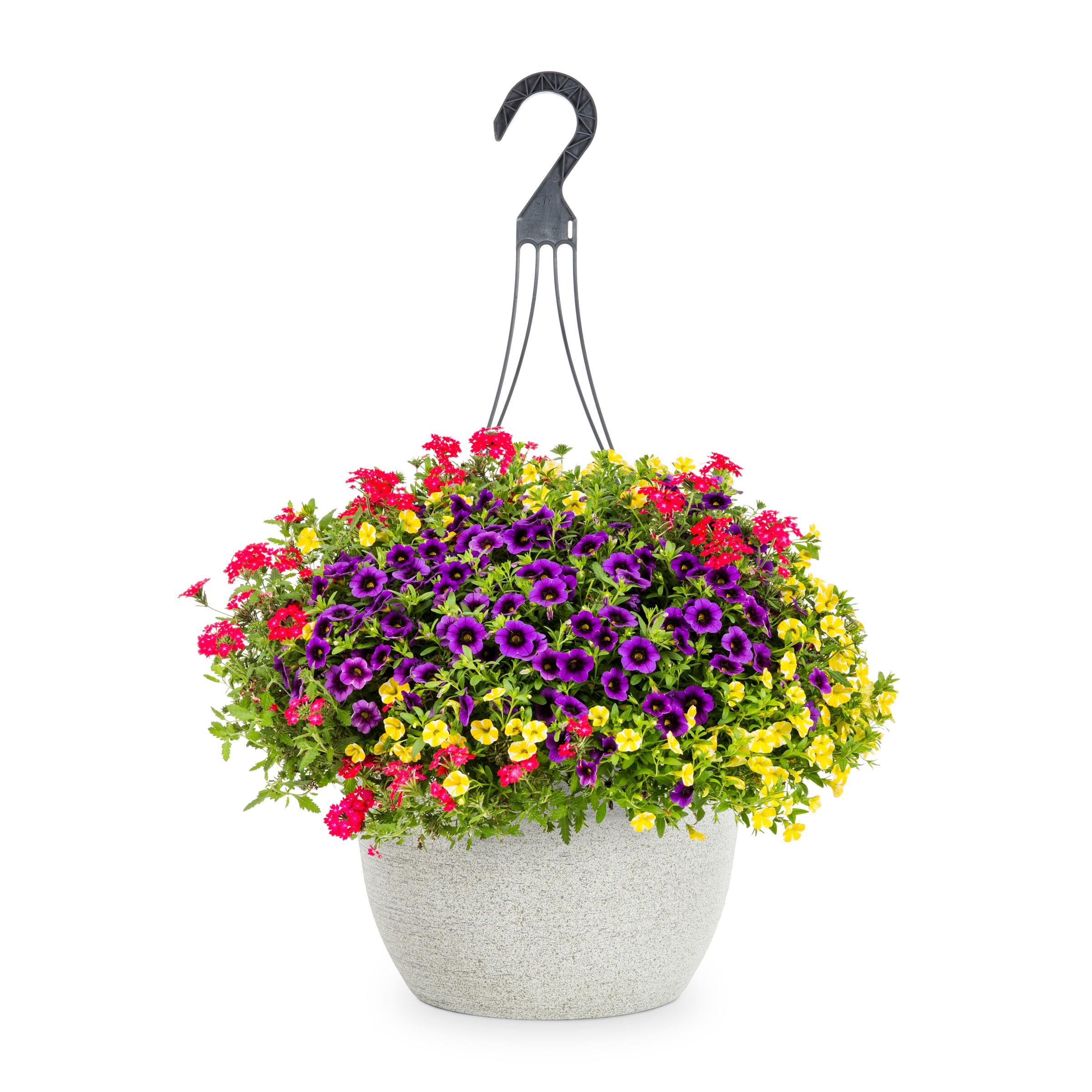 Lowe's NURSERY Multicolor Fruit Salad in 3.5 Gallon(s) Hanging basket