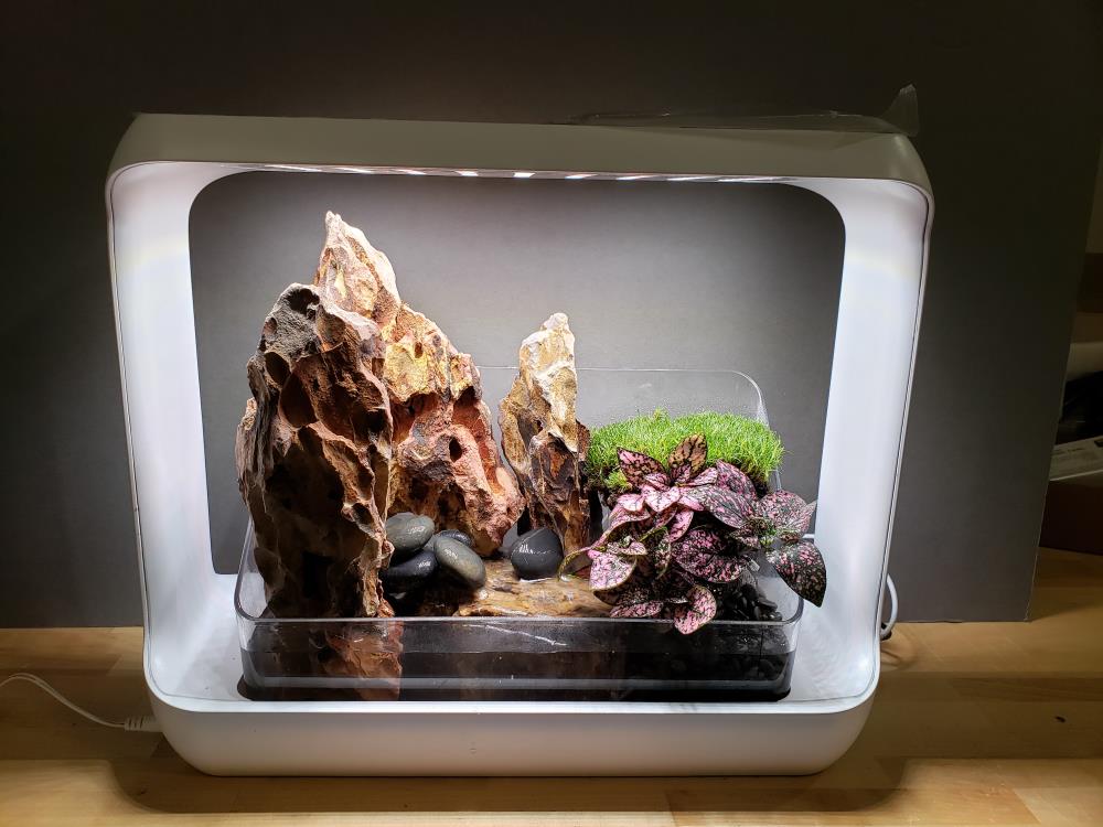 LED Rock Garden Kit with Terrarium Waterfall & Fogger Kit