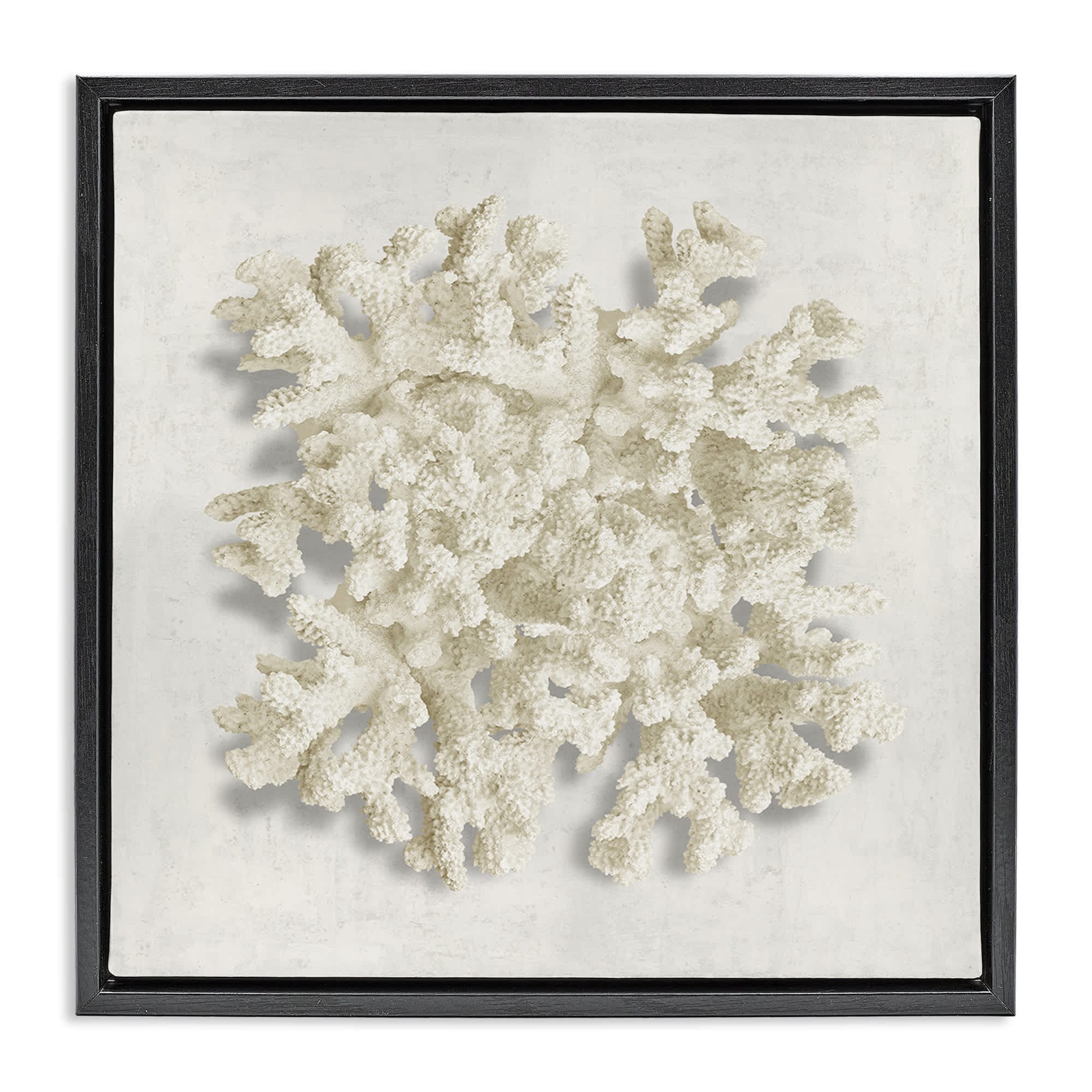 Stupell Industries BS-543-FFB-24X24 Aquatic Neutral Coral Black Framed Floater Canvas Wall Art By Caroline Kelly 25 x 25