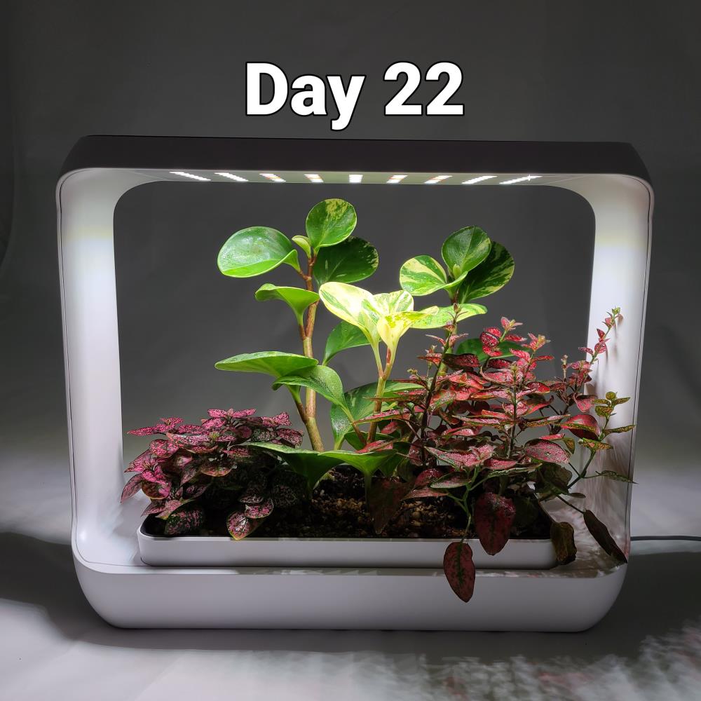 LIFEGARD R440870 Gardening-Kits - View #6