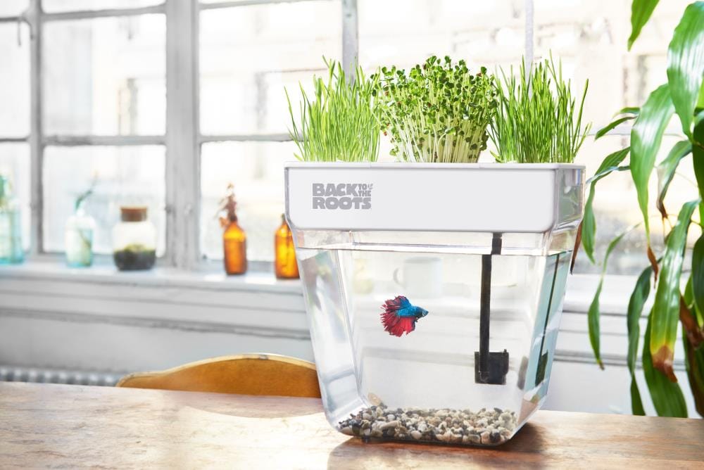 Back to the Roots 32000 Gardening-Kits - View #4
