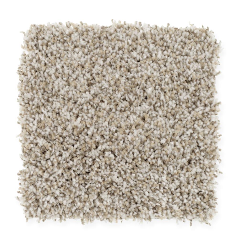 STAINMASTER STP19-L007-0808 (Sample) Essentials Soft Winner Barely There Textured Carpet