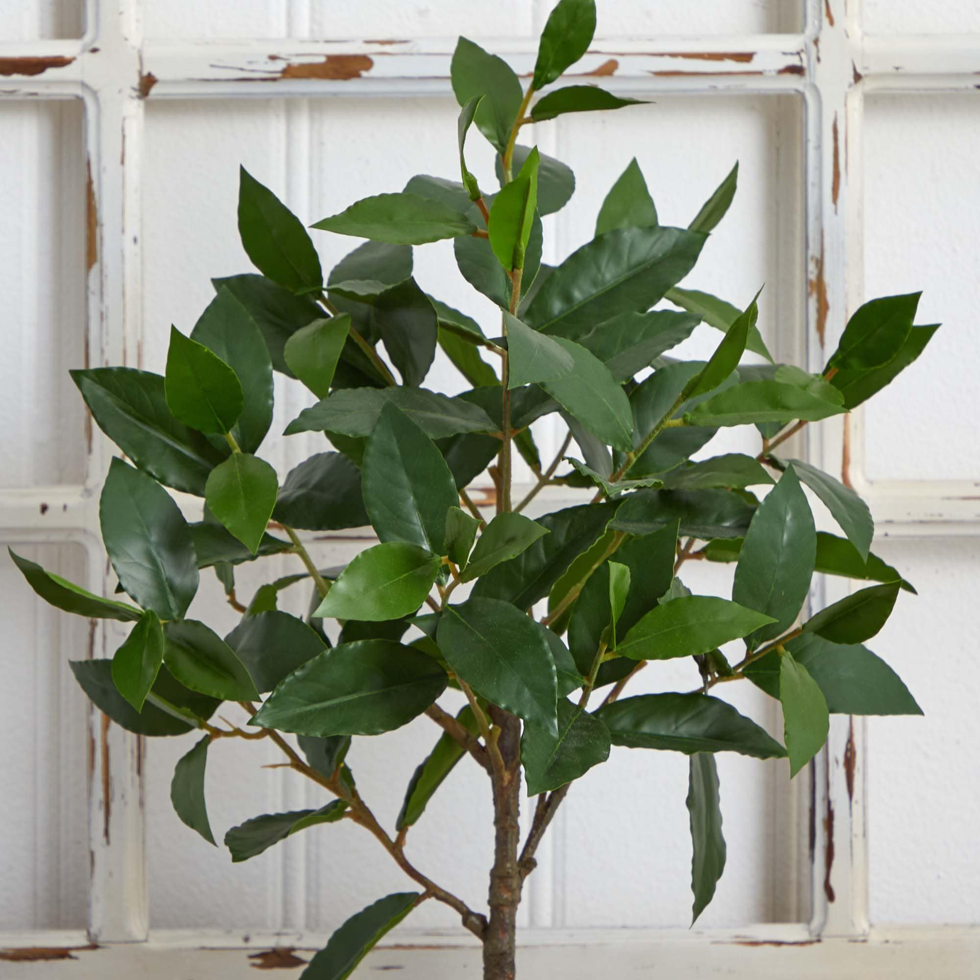 Nearly Natural 5423 Artificial-Plants-Trees - View #6