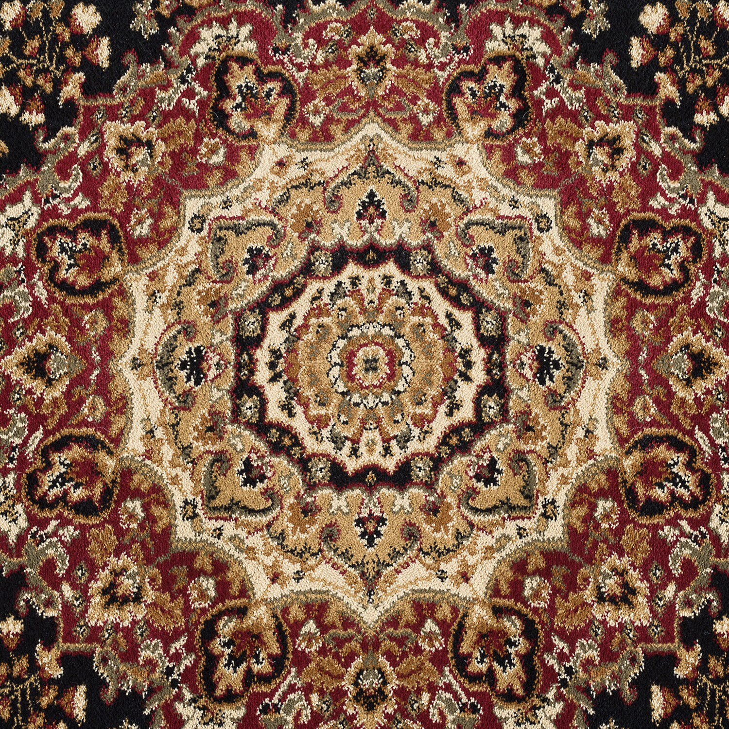 Tayse SNS4703 5X8 rugs - View #7