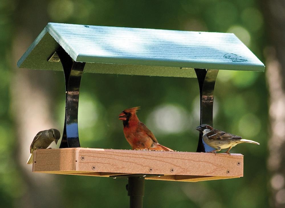 Woodlink Tan Plastic Platform Bird Feeder in the Bird Feeders ...