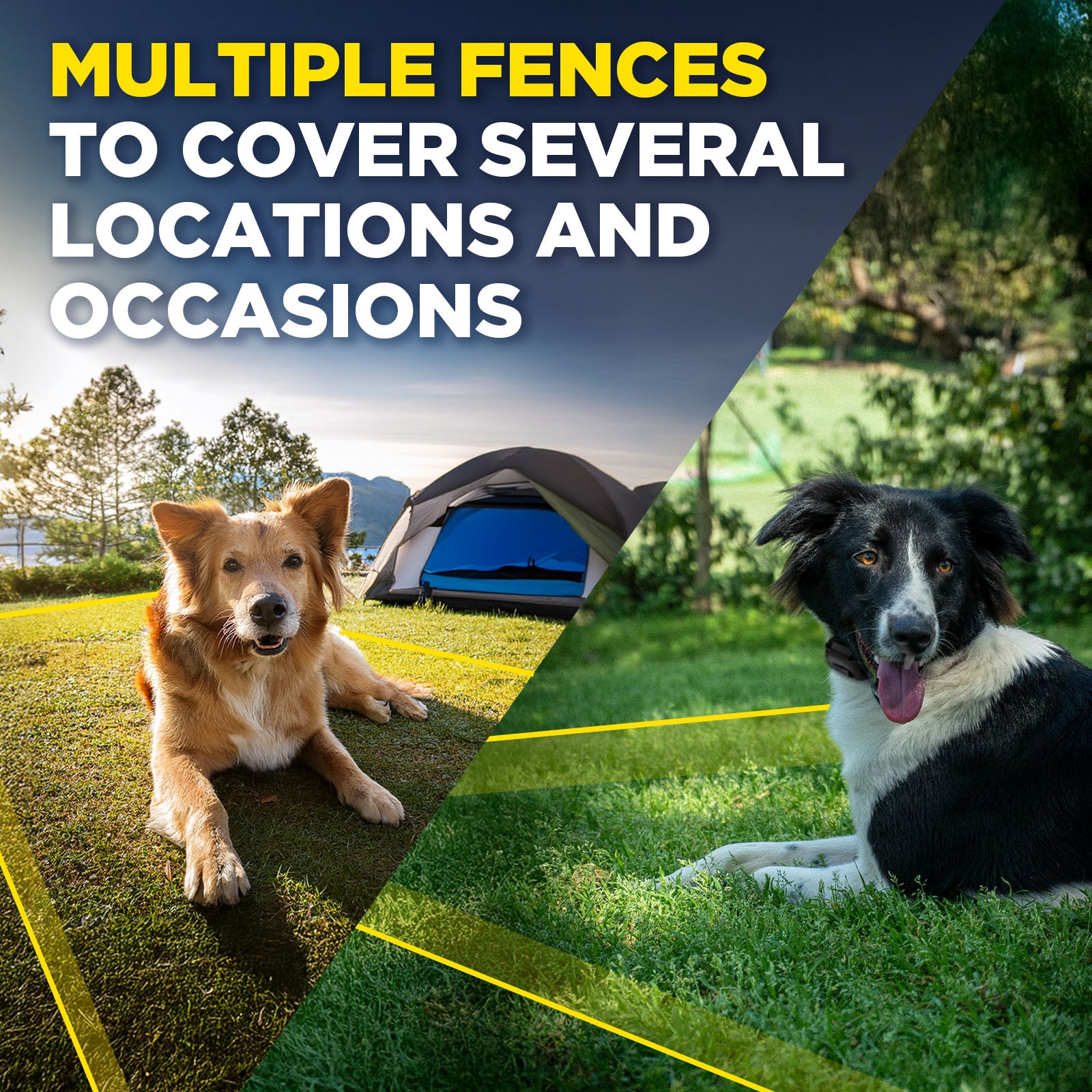Dogtra 644622060075 Wireless-Pet-Fence - View #11