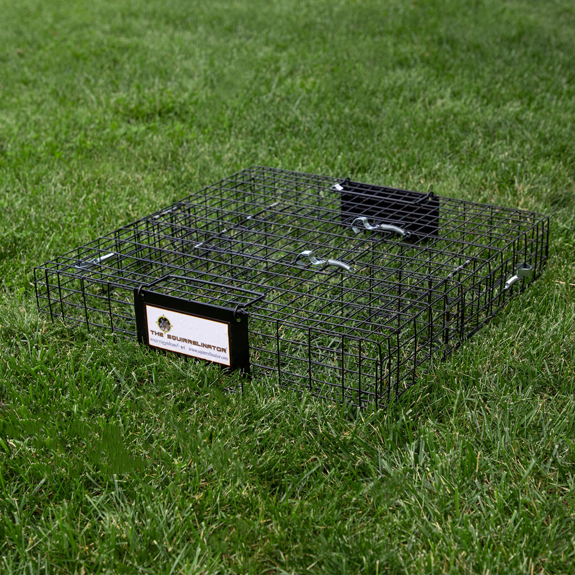 Rugged Ranch Sqrto Squirrelinator Live Chipmunk Squirrel Metal Wire 2 Door  Trap Cage (trap Only), Black (2 Pack) : Target