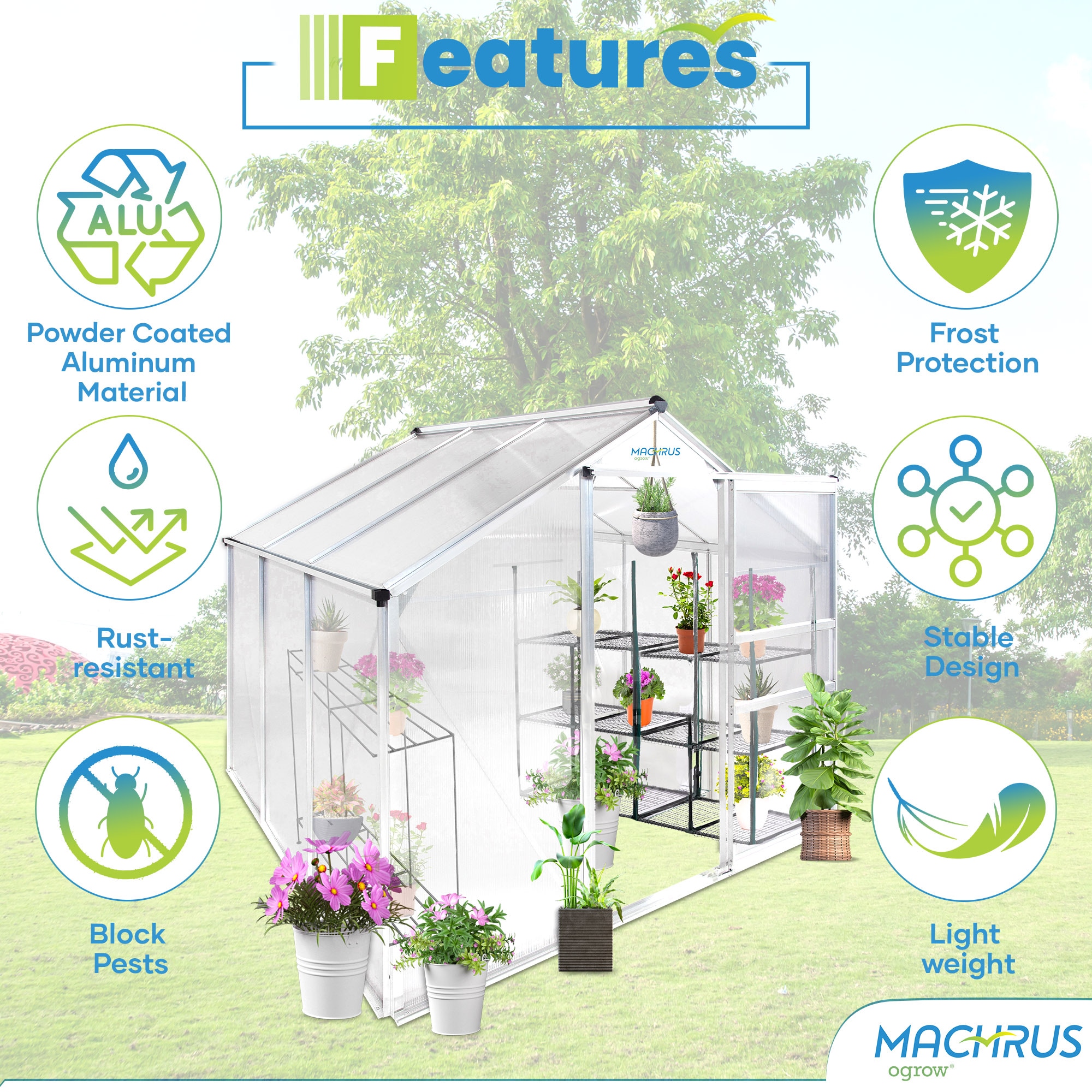 Ogrow Greenhouse 6.23-ft L x 6.3-ft W x 6.59-ft H Clear Greenhouse in ...