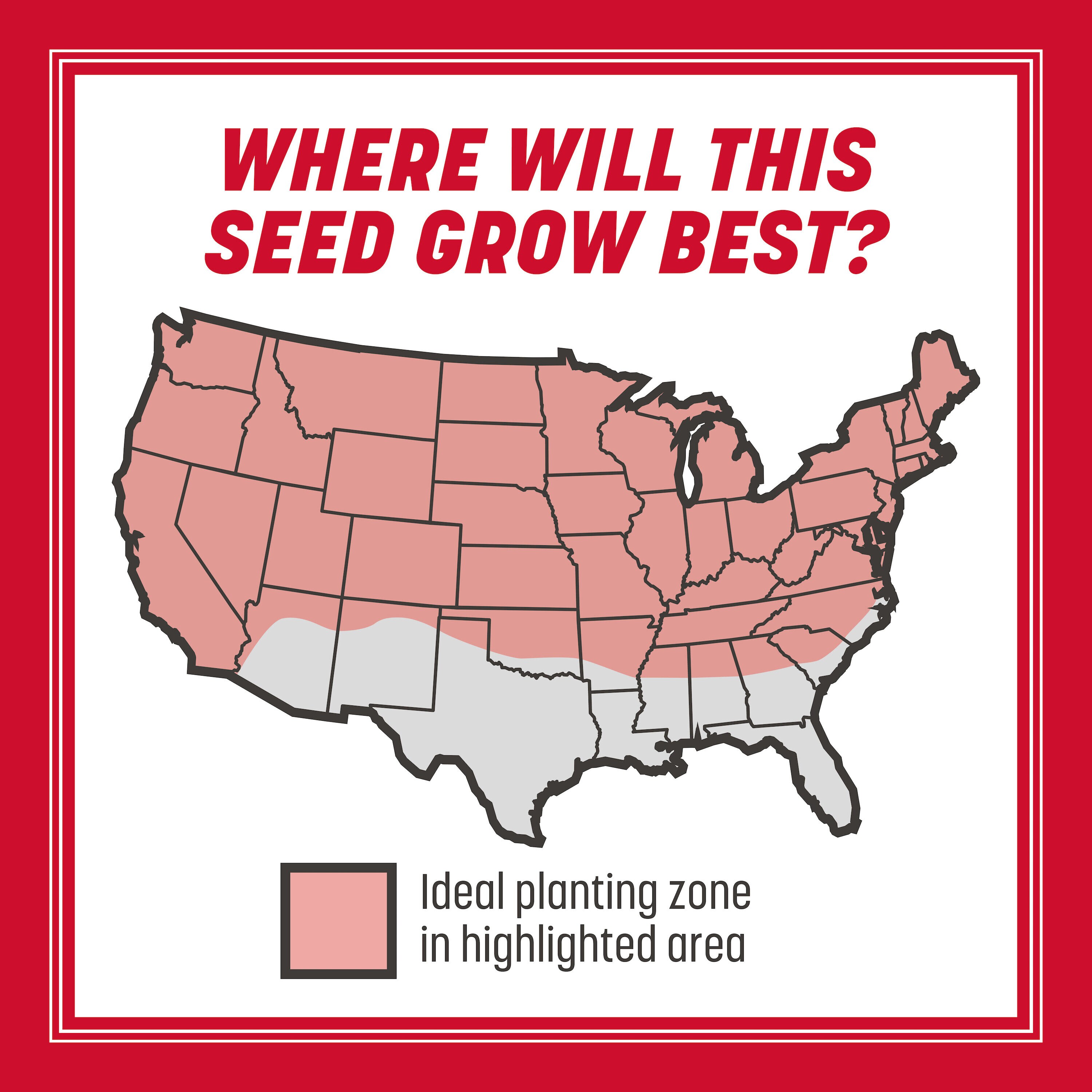 Pennington 2149602290 Grass-Seed - View #6