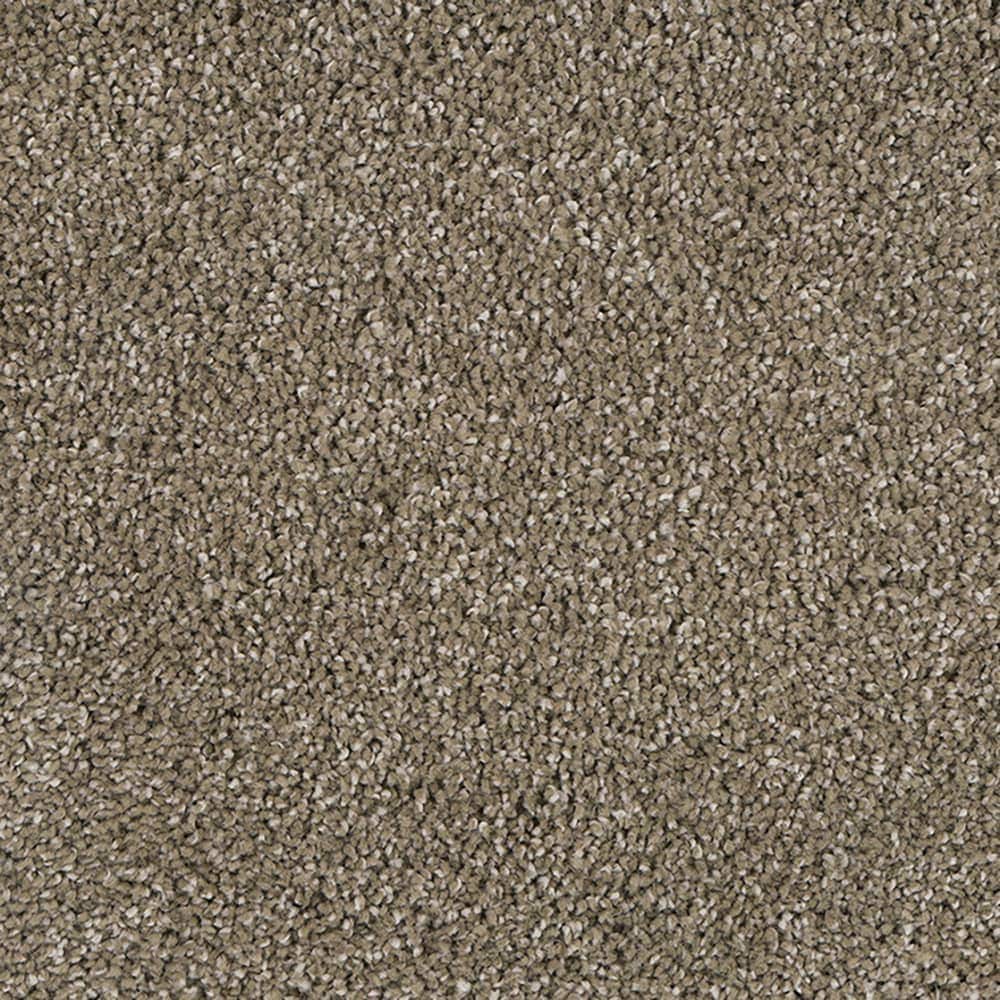 STAINMASTER STP58-L012-0808 (Sample) Soft Selection II English Toffee Brown 55-oz sq yard Triexta Textured Indoor Carpet