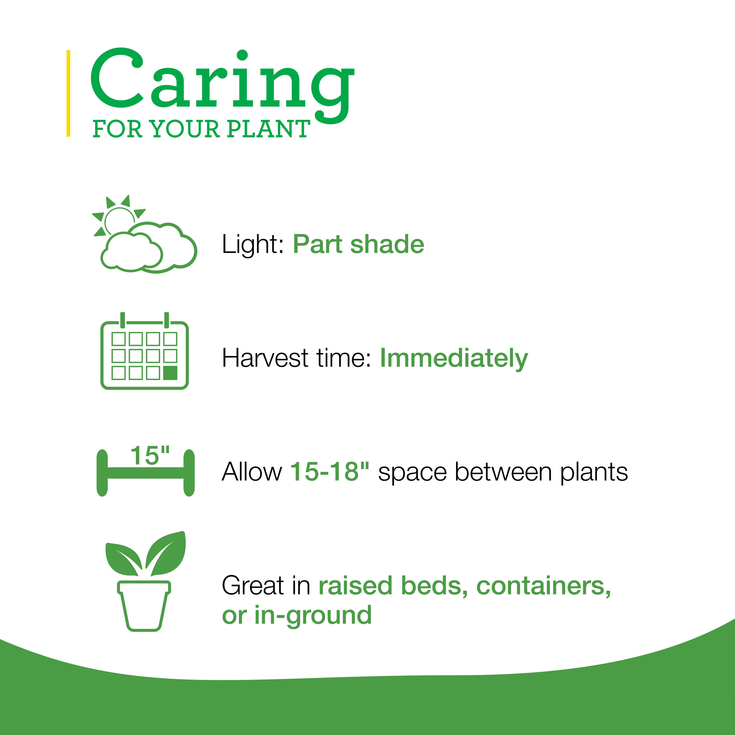 Bonnie Plants 202016 Herb-Plants - View #5