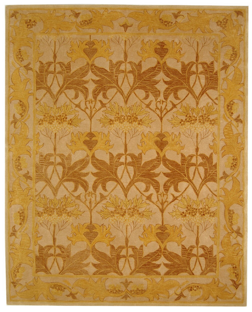 Safavieh AN541B-8 rugs - View #2