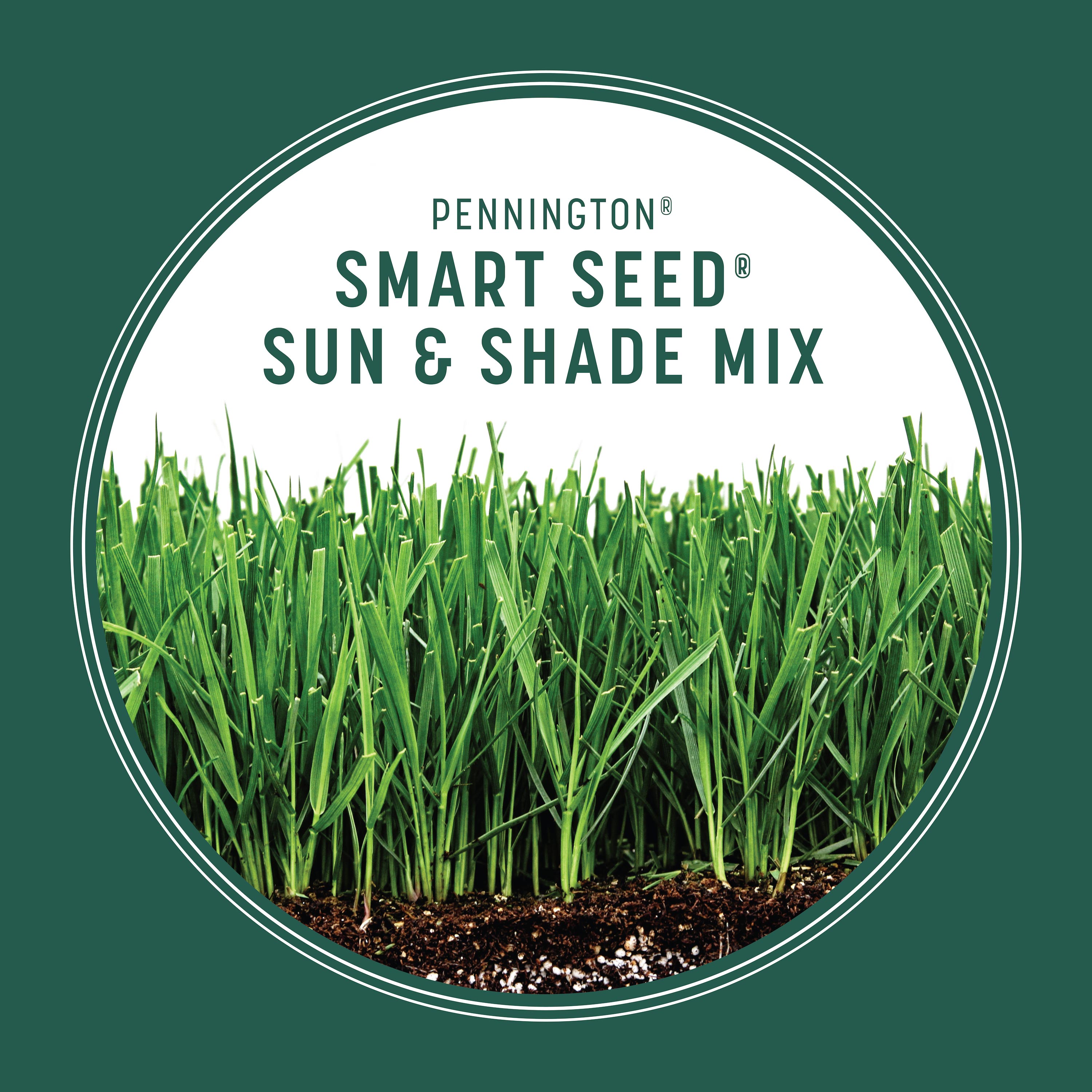 Pennington Smart Seed Sun And Shade North 20-lb Mixture/Blend Grass ...