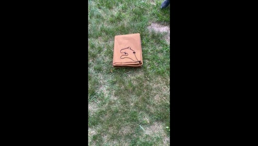 A thumbnail for the video