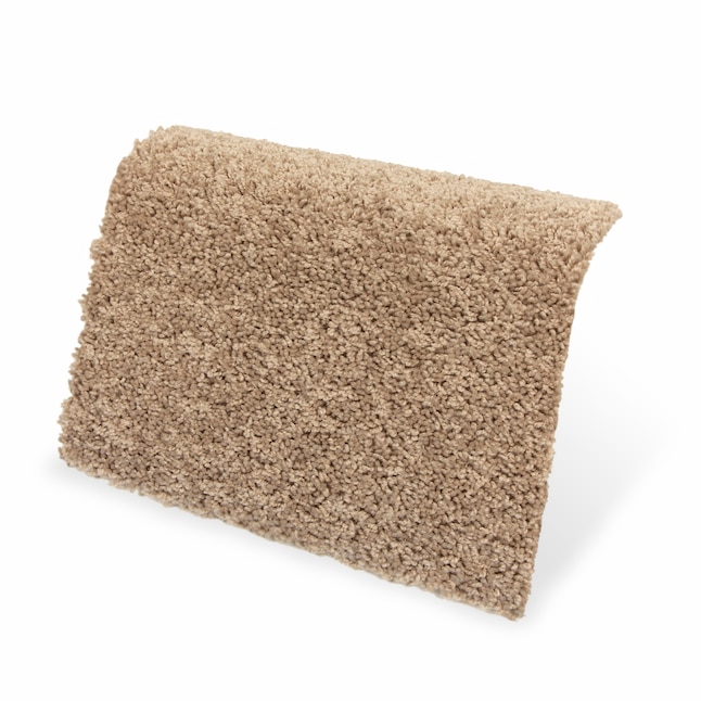Style Selections Gratitude Cobble Path Textured Indoor Carpet in the Carpet  department at