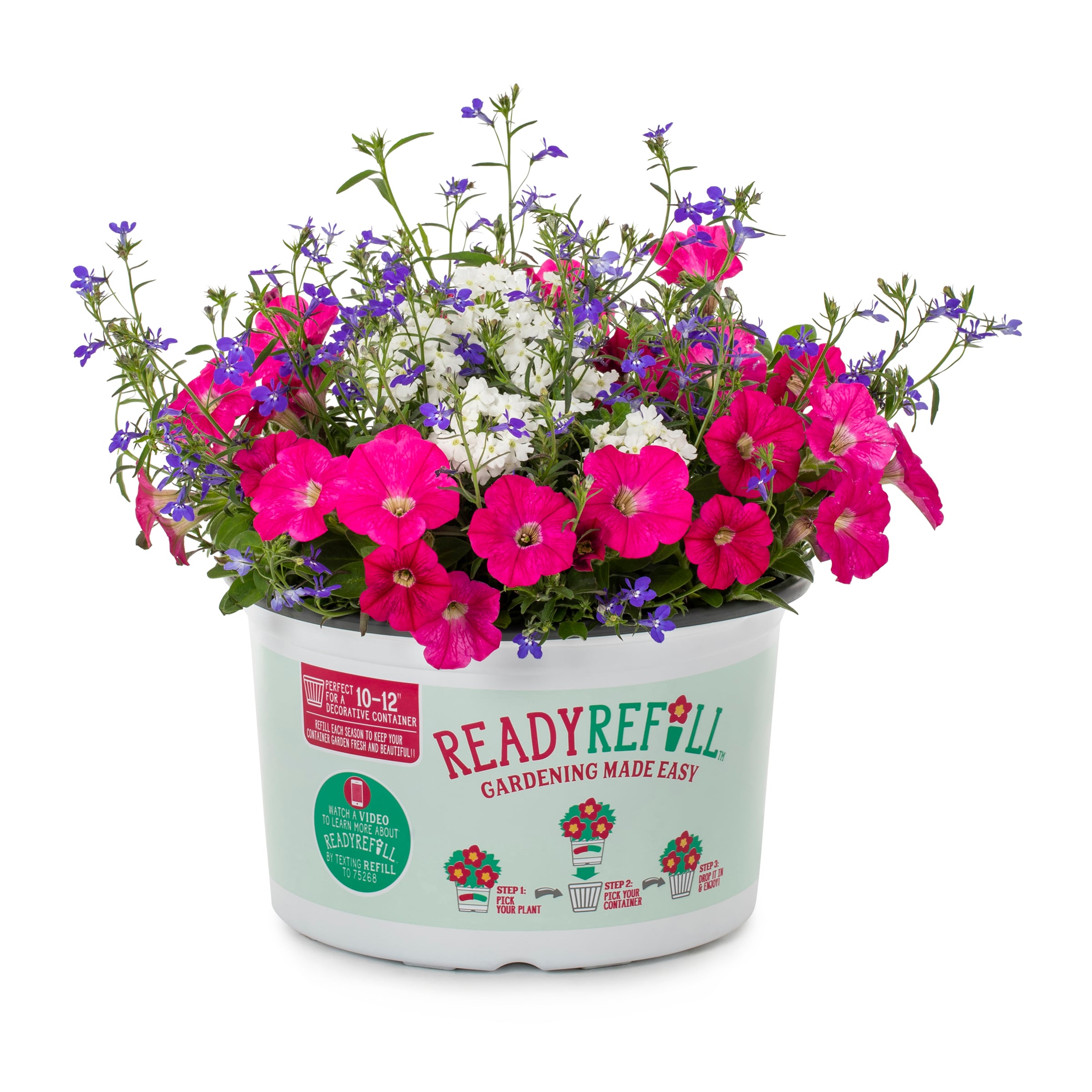 Ready Refill 824510 Multicolor Pink Infusions in 1.5-Gallon Pot