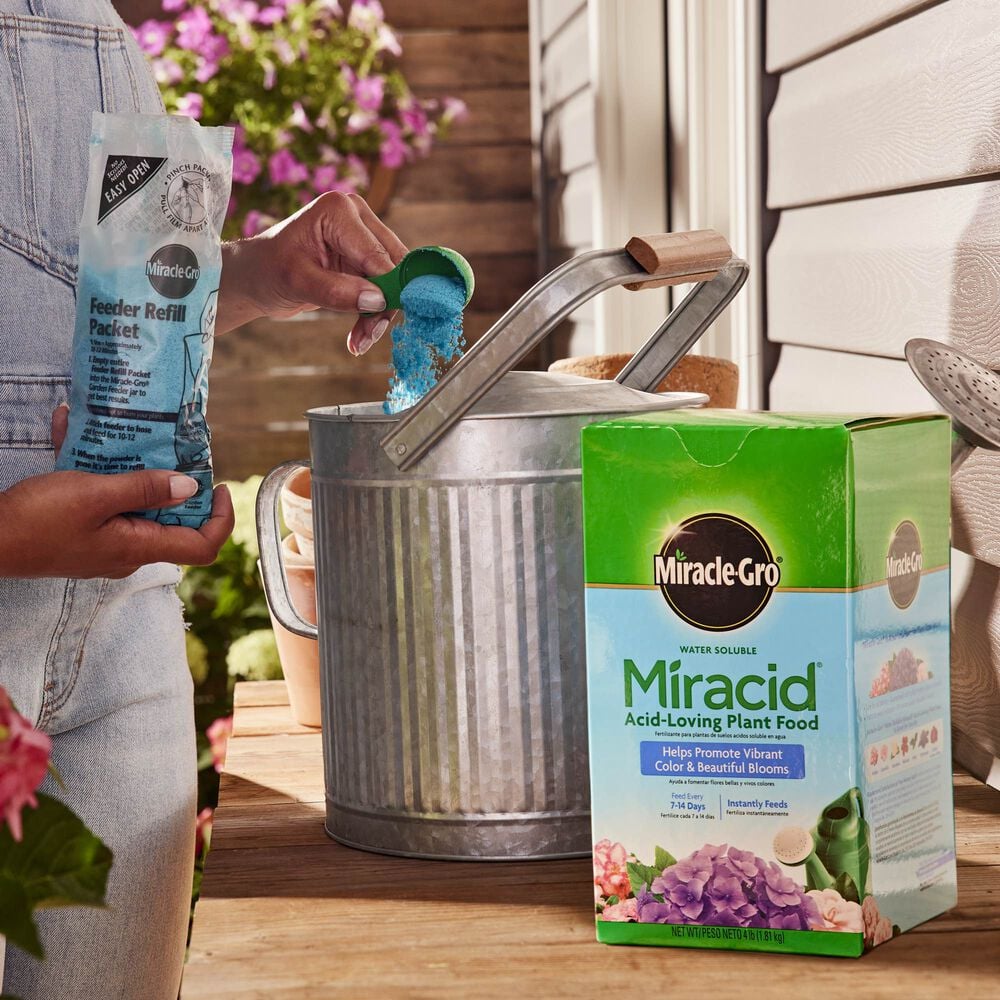 【miracle】 Amazon.com: Scotts Miracle Gro 1750011 Miracid 30-10-10 Formula, 1