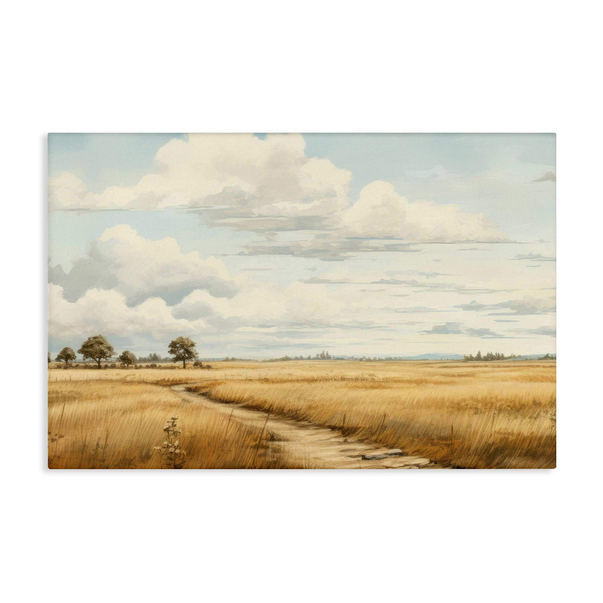 Stupell Industries BT-790-CN-20X30 Path Through Vast Grassland Canvas Wall Art By LSR Creative Studio 30 x 20