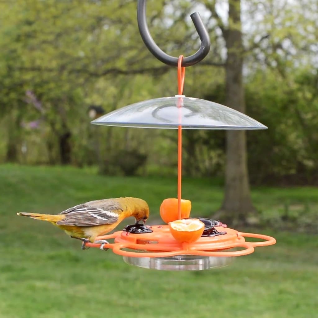 Nature's Way OFP1-CP1 Bird-Feeders - View #10
