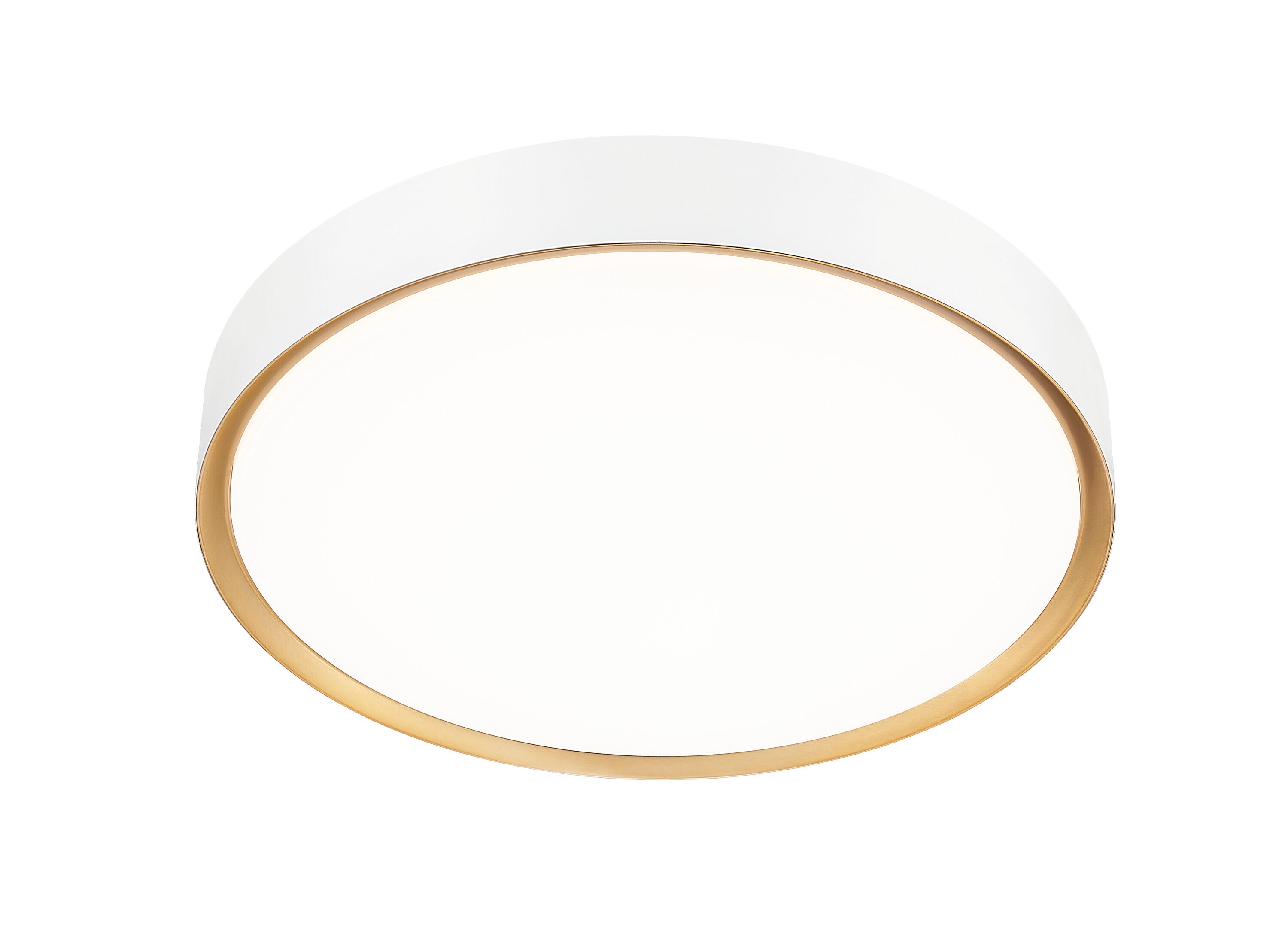 Z-Lite 1014F20-MW-MGLD-LED flushmounts - View #5