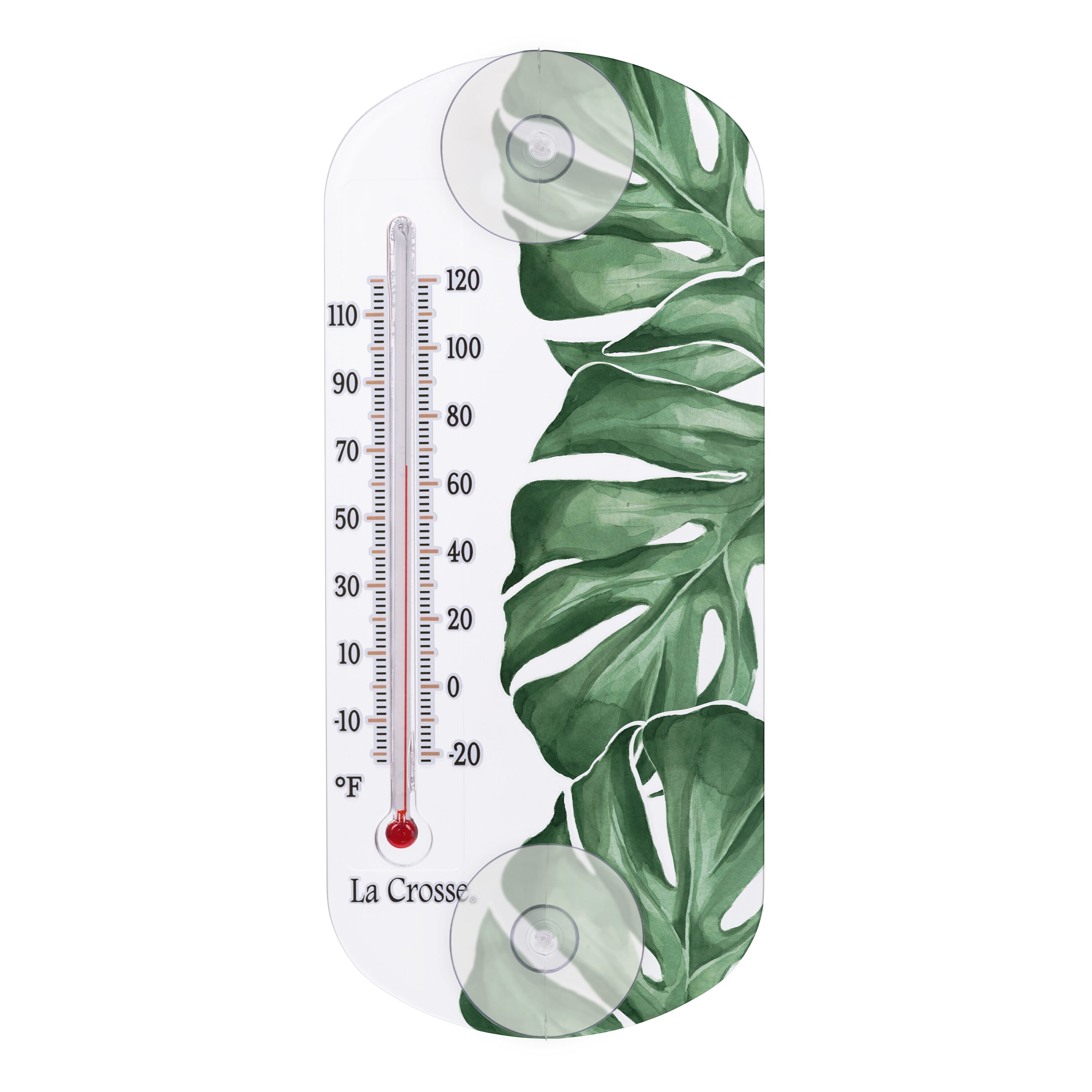 Buy La Crosse Technology Indoor & OutdoorThermometer Assorted (Pack of 6)