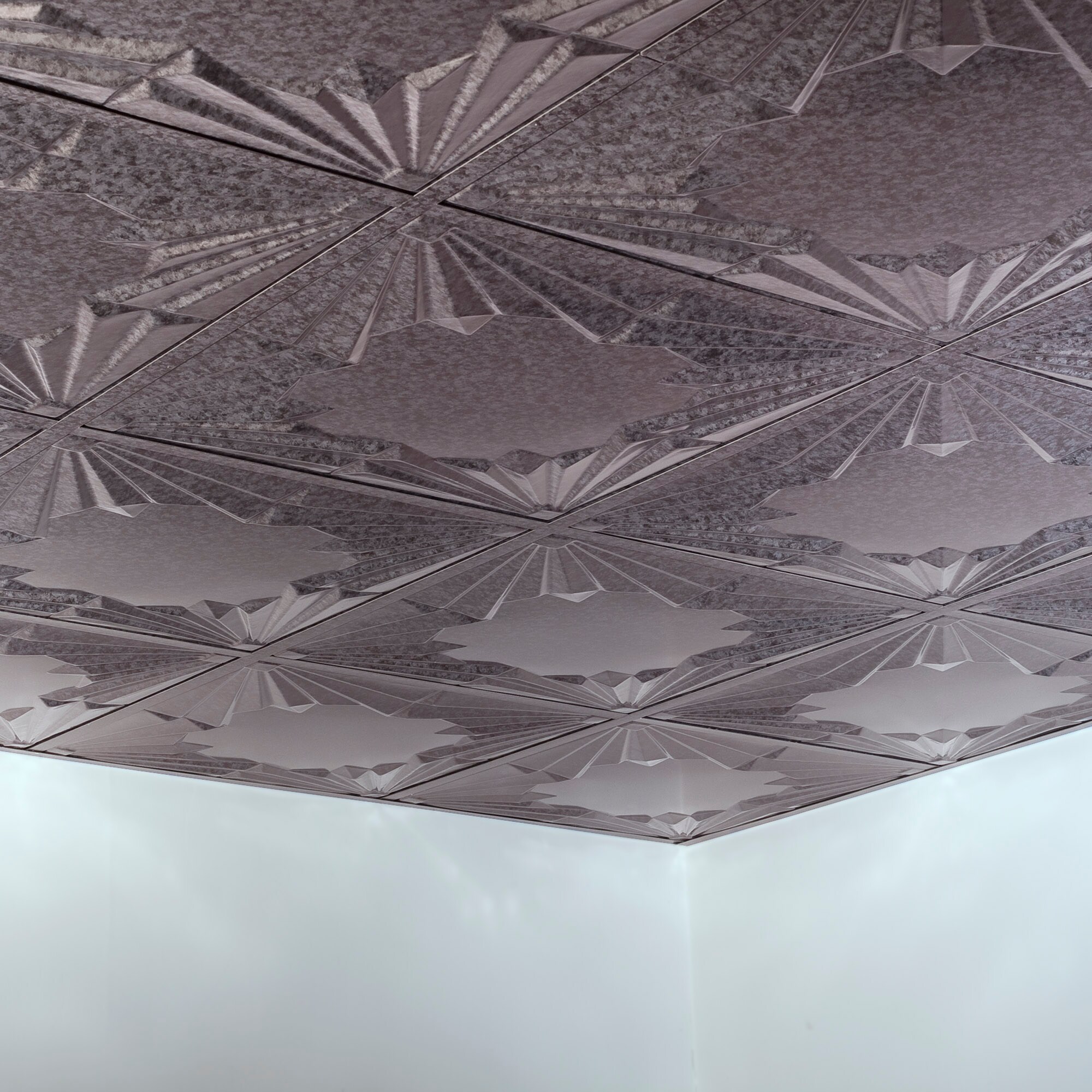 Fasade PL5830 Ceiling-Tile - View #4