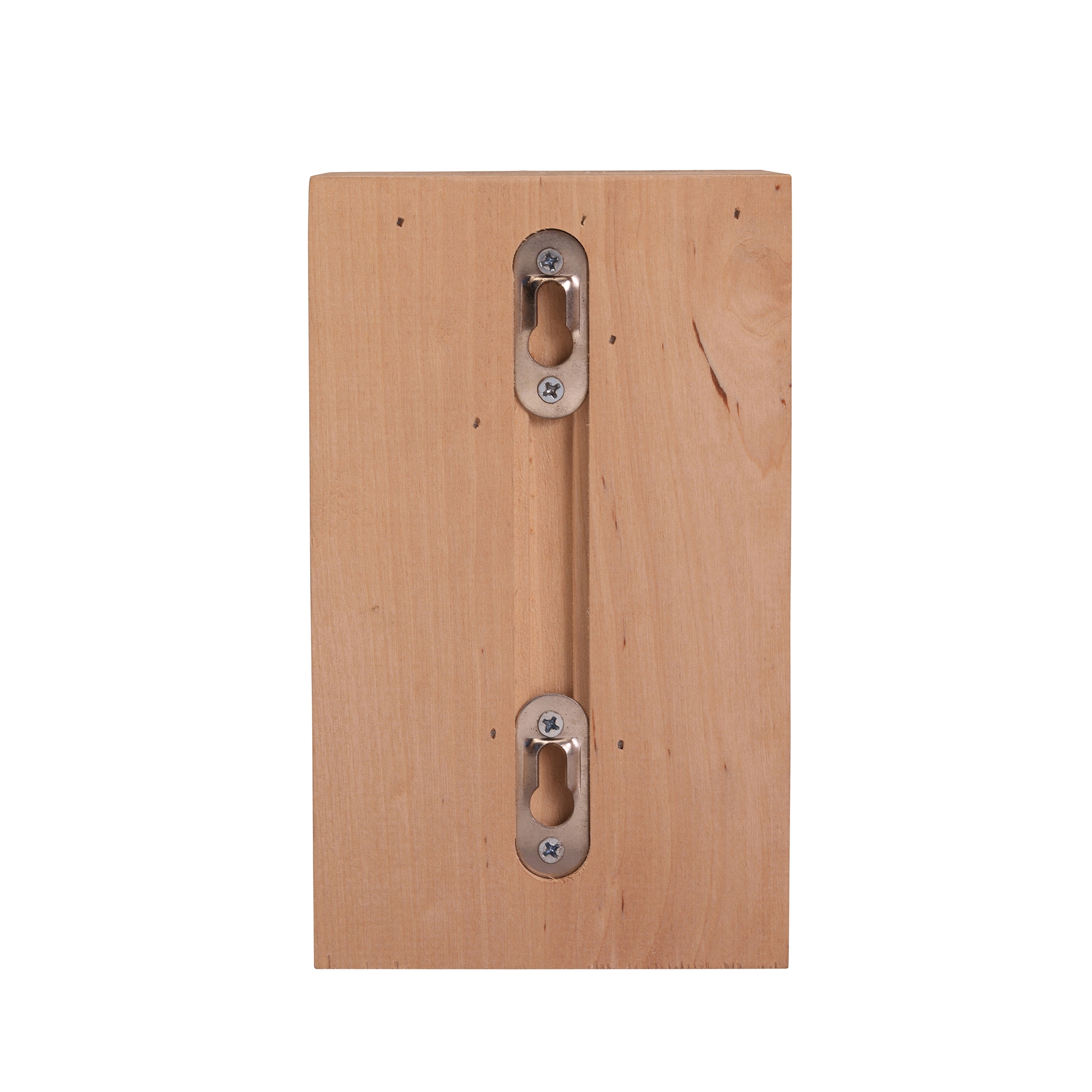 Ornamental Mouldings BR-0007BIR corbels - View #4