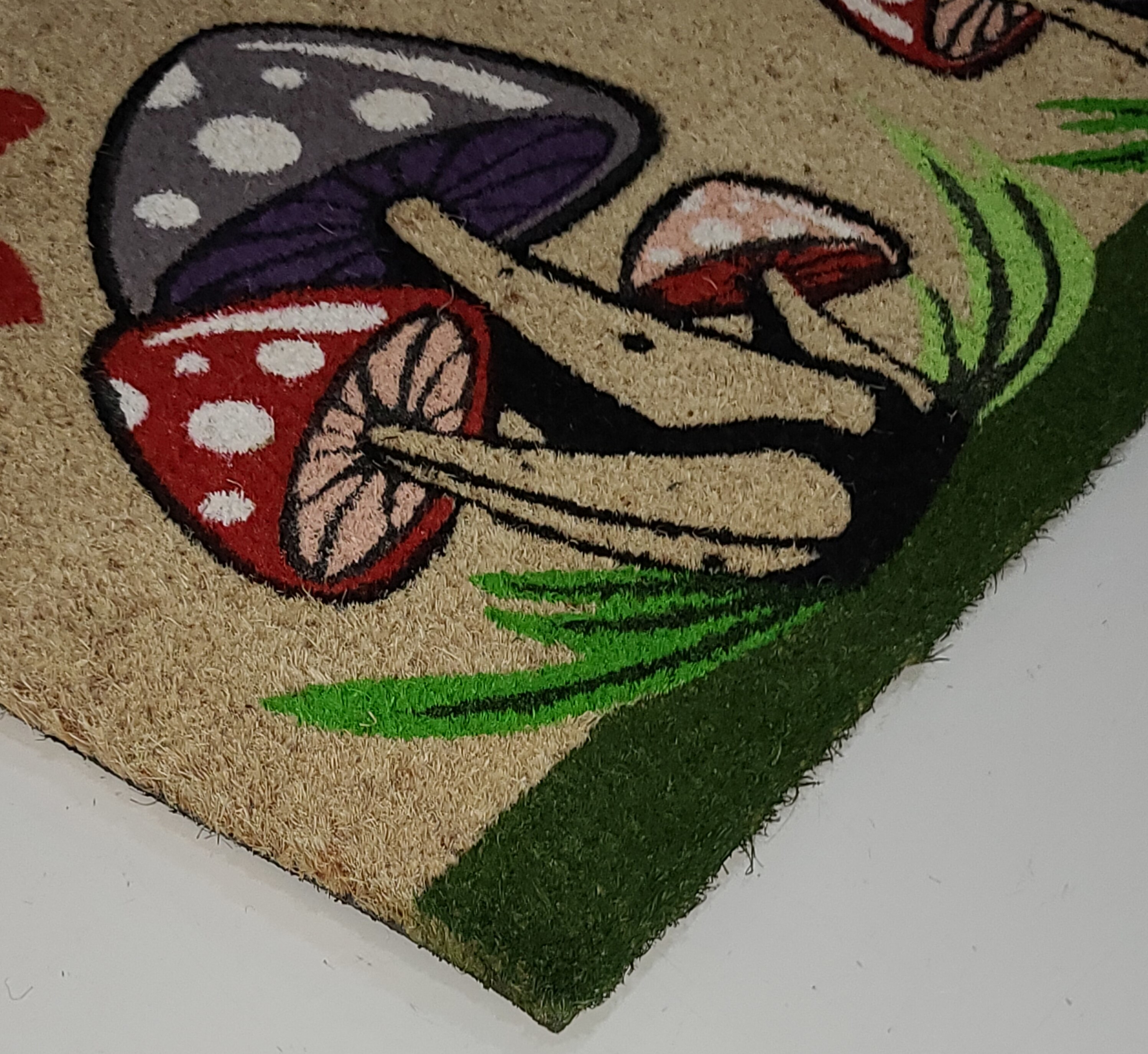Home Sweet Home Multicolor Coir Outdoor Doormat