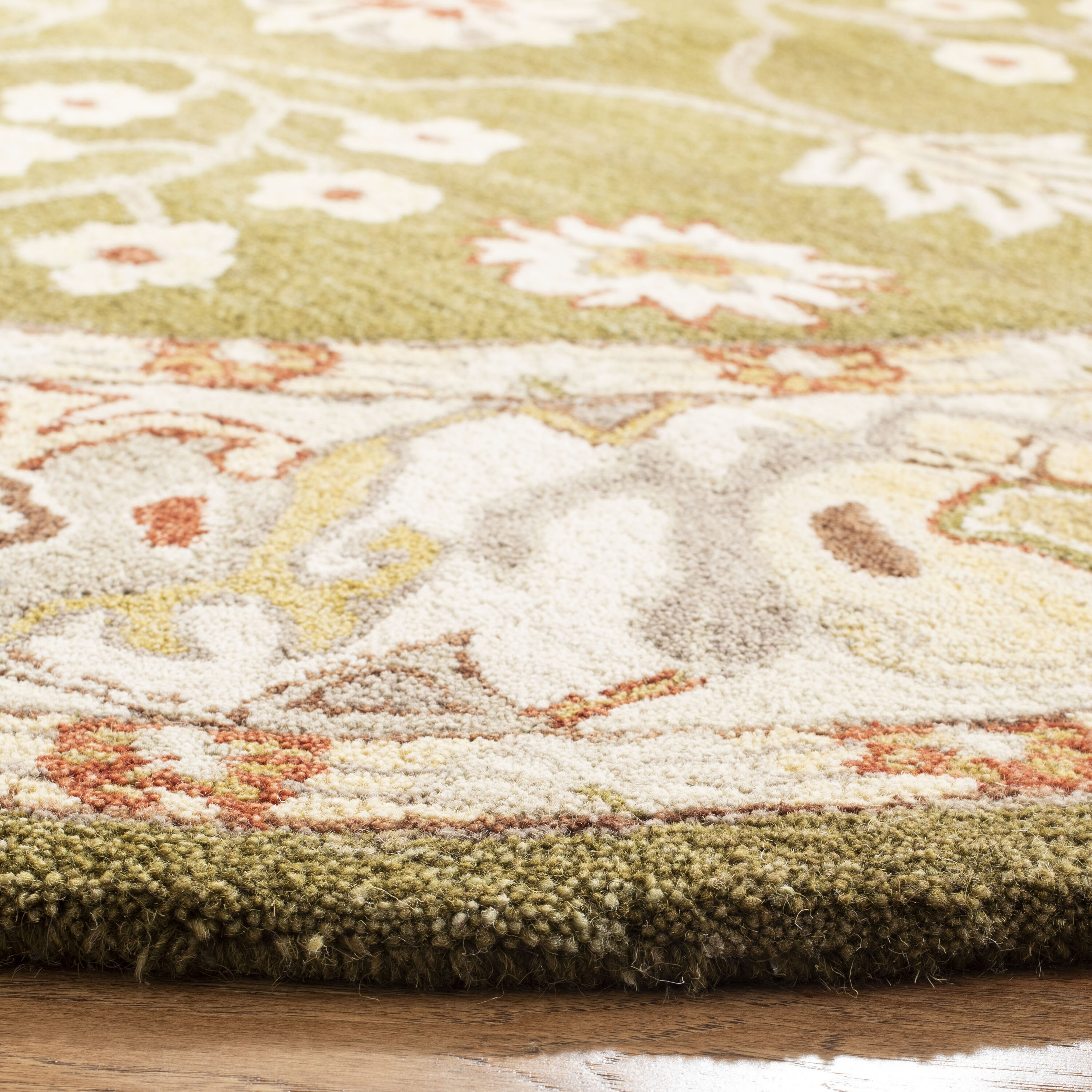 Safavieh AN562D-6R rugs - View #3