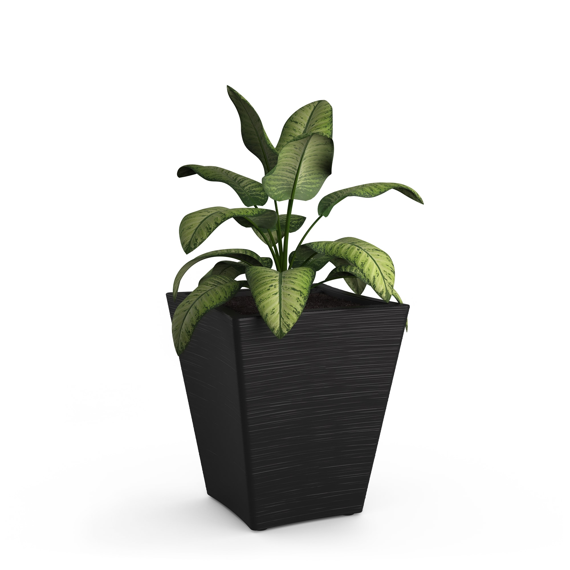 Mayne 4891-B Square 15.5-Inches W Medium Black Plastic Contemporary/Modern Indoor/Outdoor Planter with Drainage Holes with Self Watering