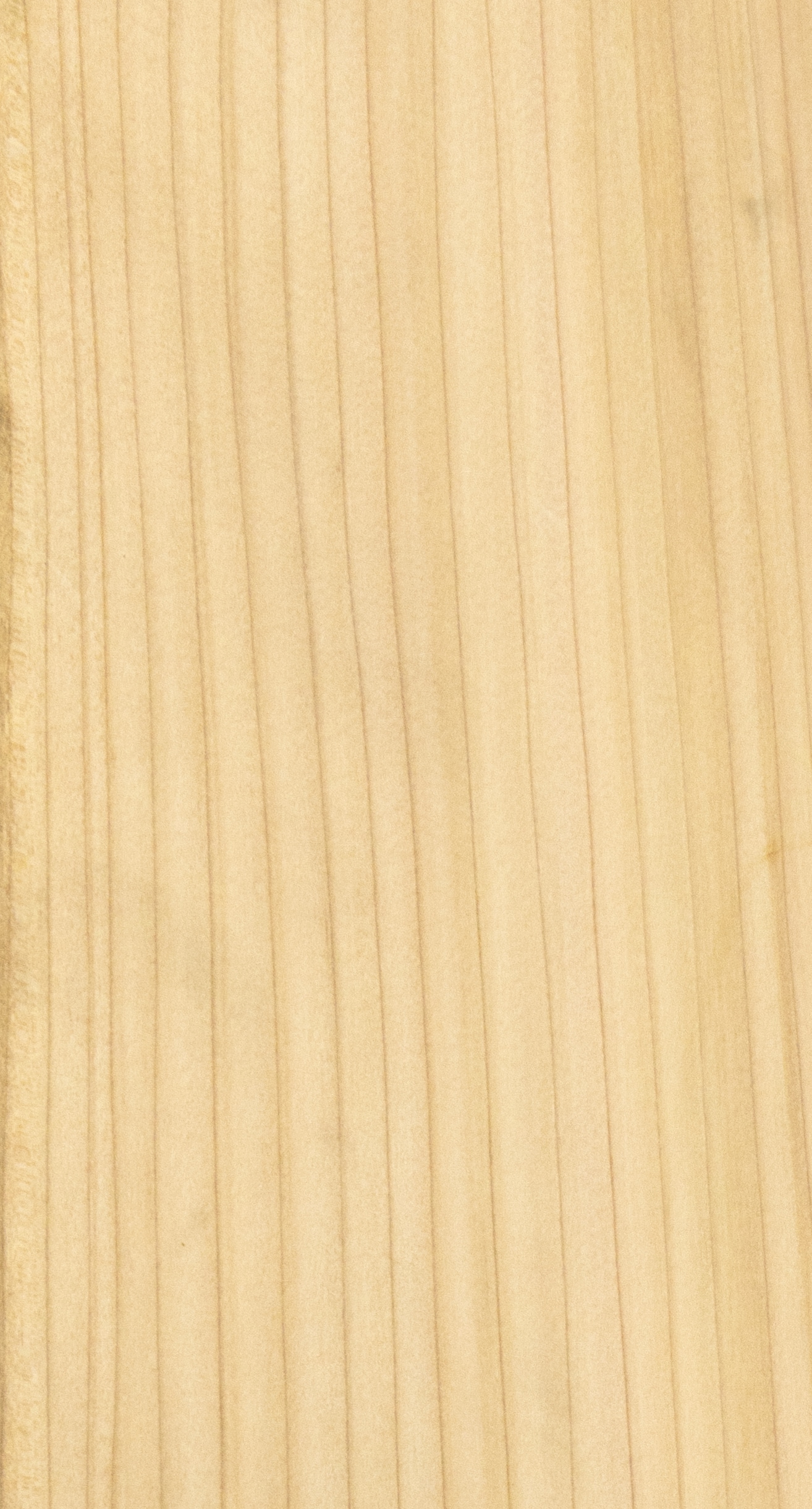 RELIABILT L538124L4 Appearance-Boards - View #3