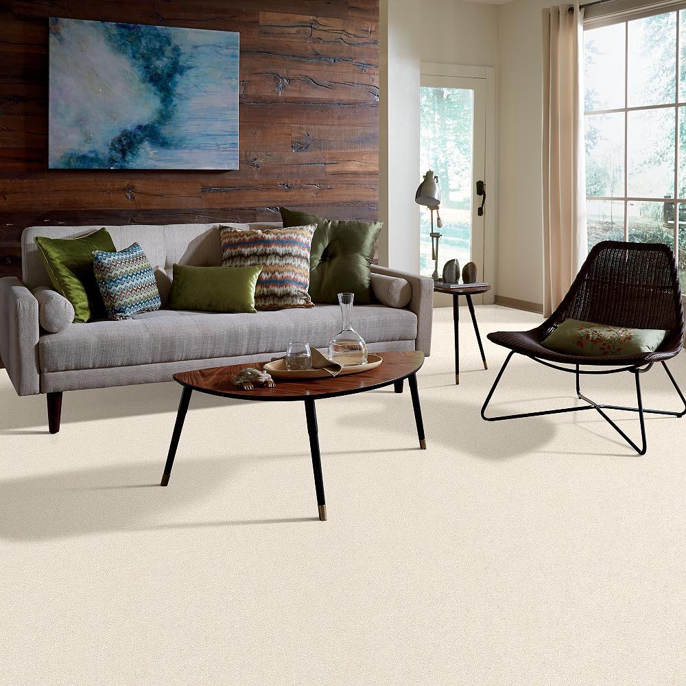 STAINMASTER C707200018 Carpet-Panel - View #7