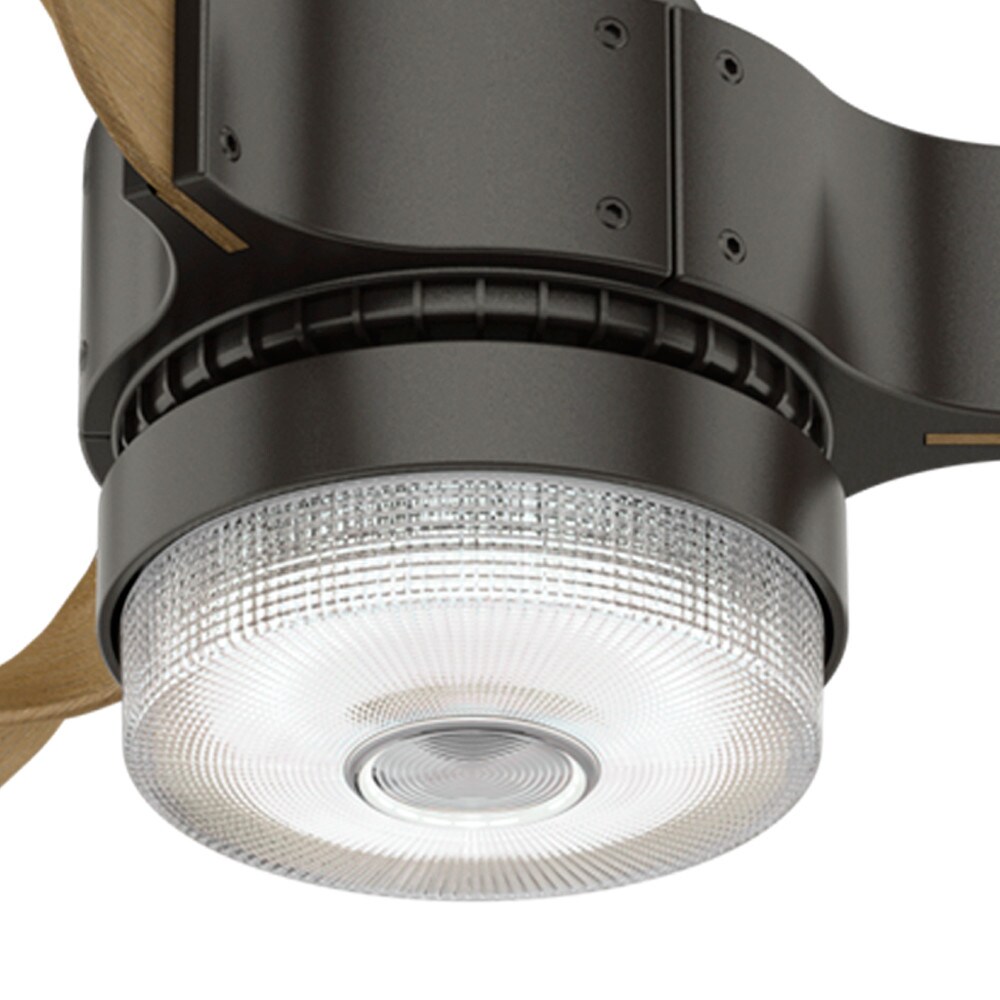 Hunter 59226 Ceiling-Fans - View #10