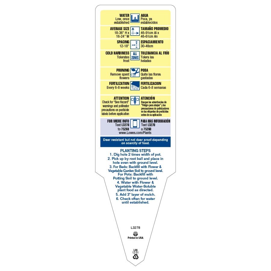 Lowe's 3339357 annuals - View #3