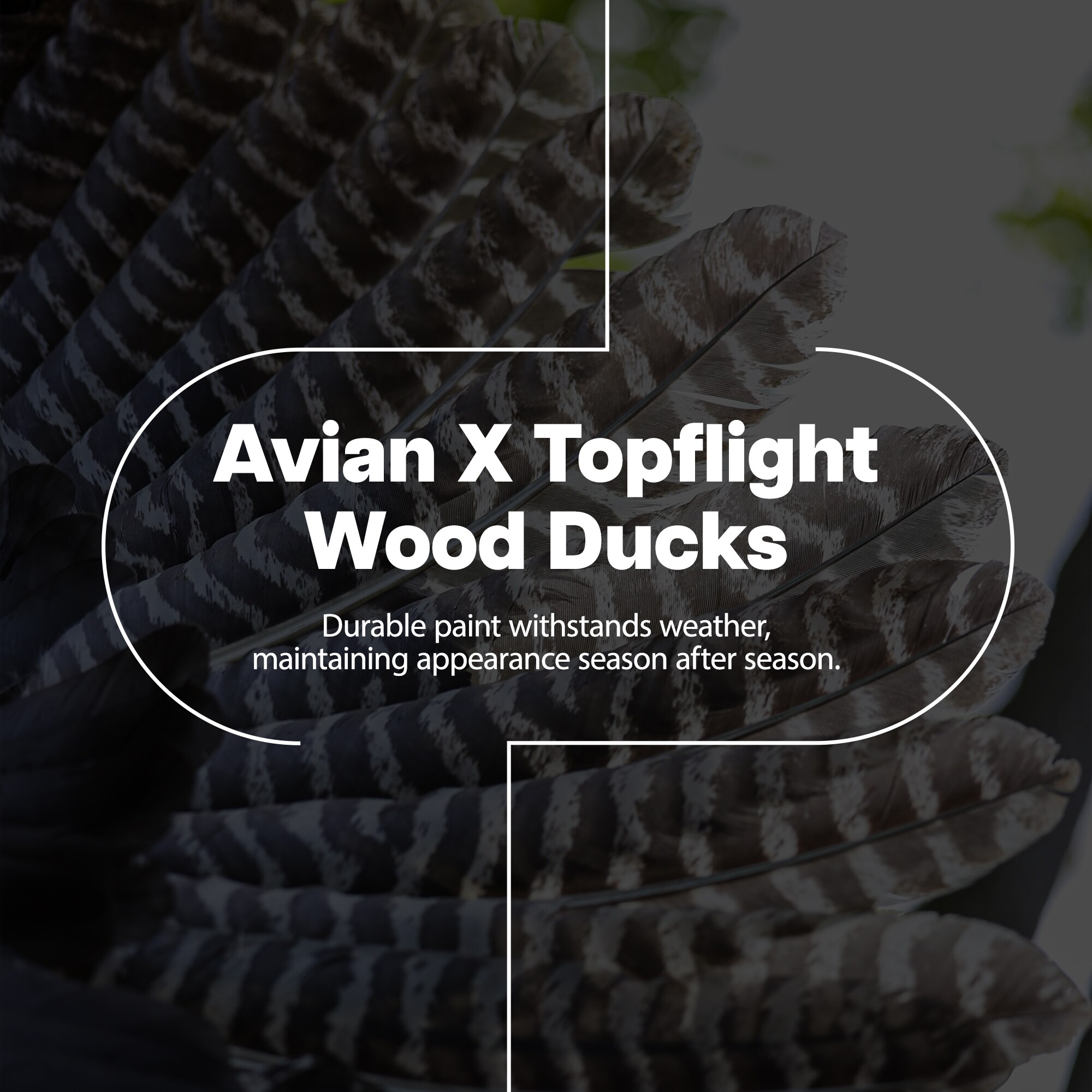  Avian X 399270 Hunting-Equipment - View #2