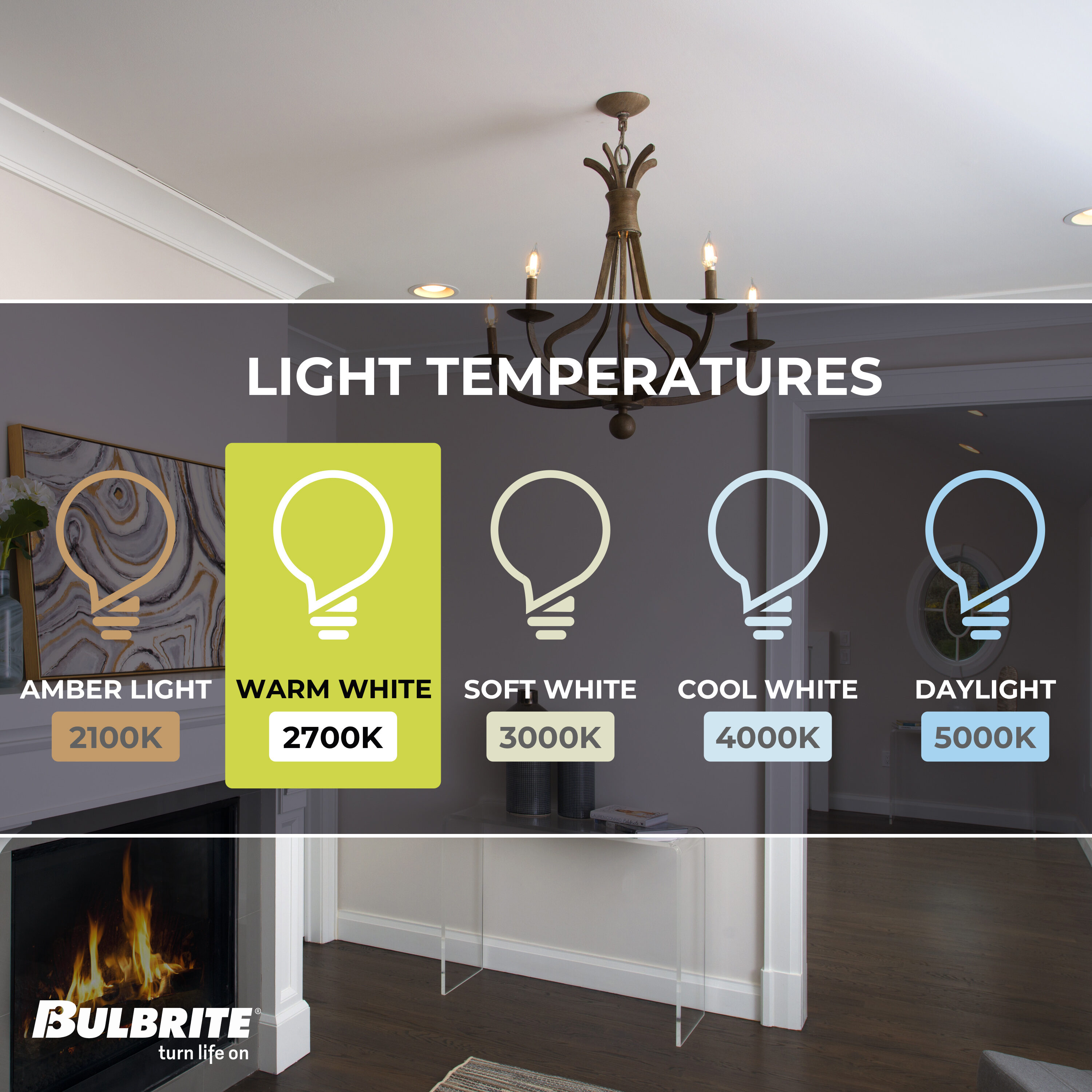 Bulbrite 861258 Specialty-Light-Bulbs - View #4