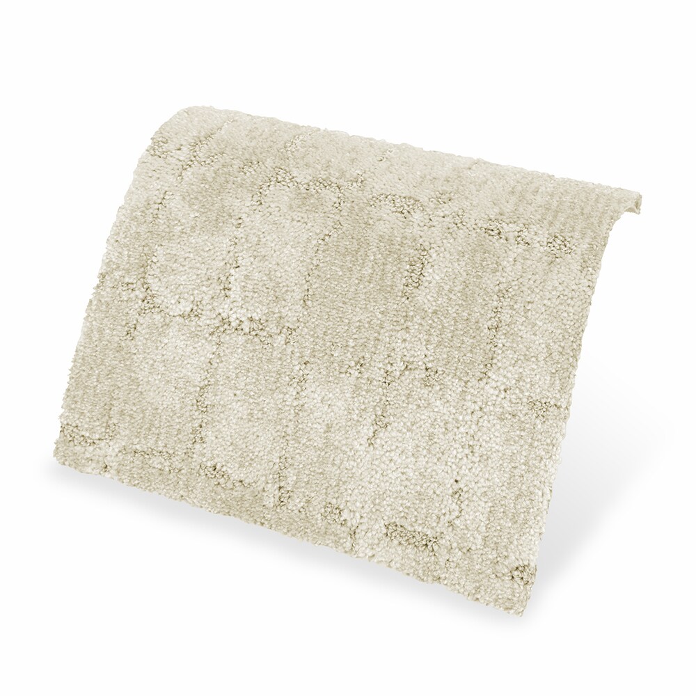 STAINMASTER STP64-L004-0808 Carpet-Samples - View #4