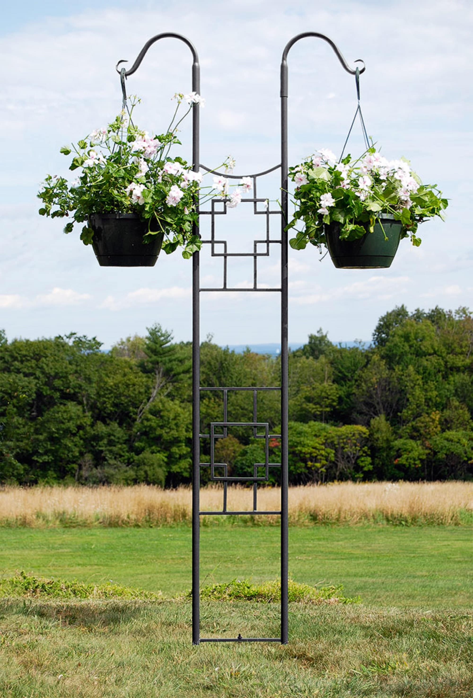 Graphite Wrought Iron Double Pole Trellis with Hooks