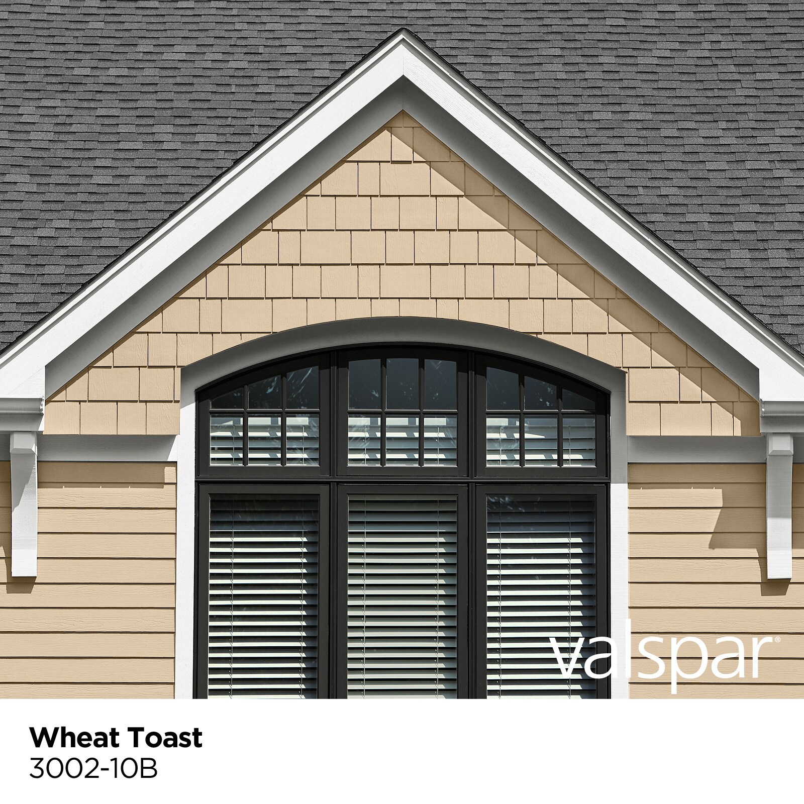 Valspar Seasonflex Flat Wheat Toast 3002 10b Latex Exterior Paint Primer 1 Quart In The