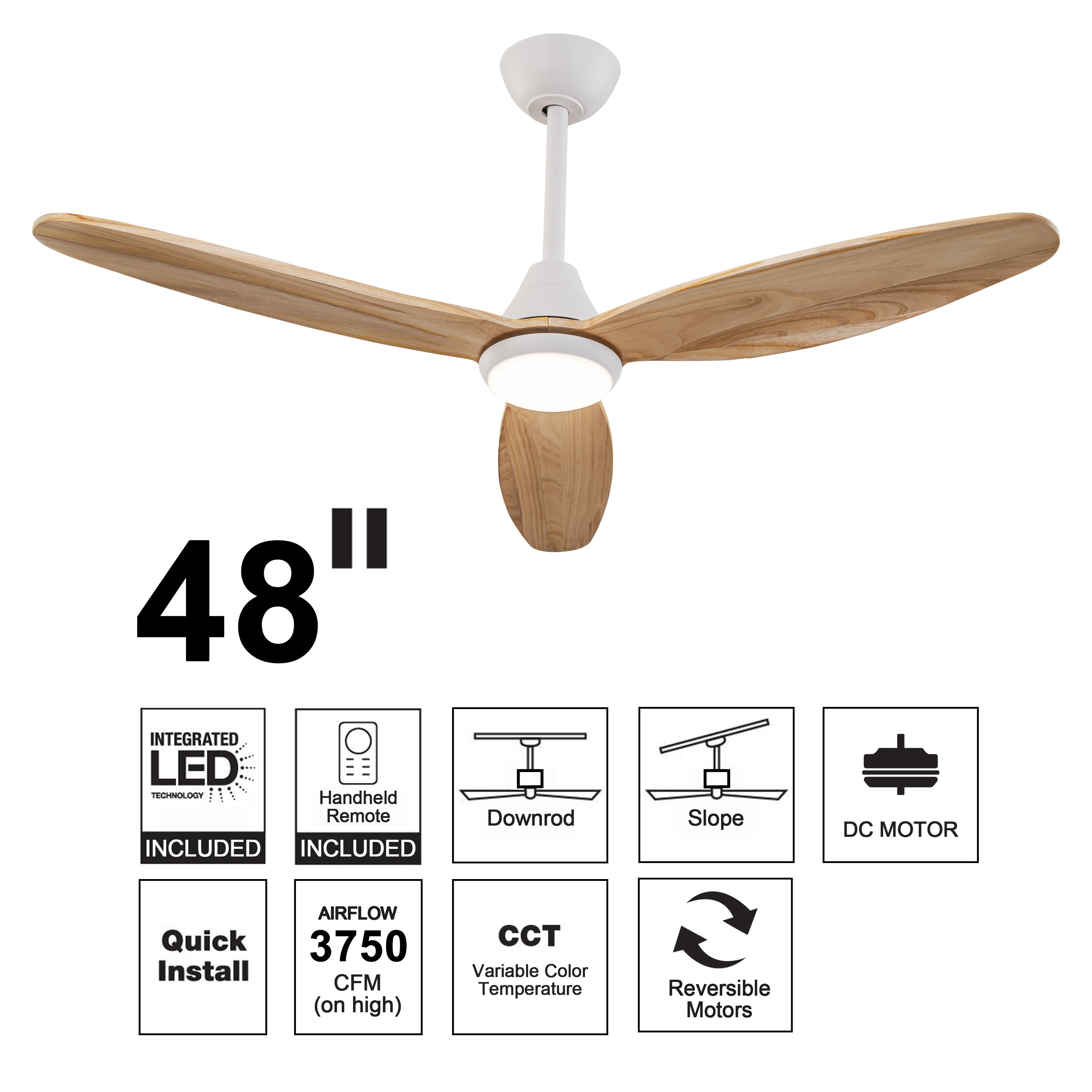 C Cattleya LCA2434-CF Ceiling-Fans - View #2