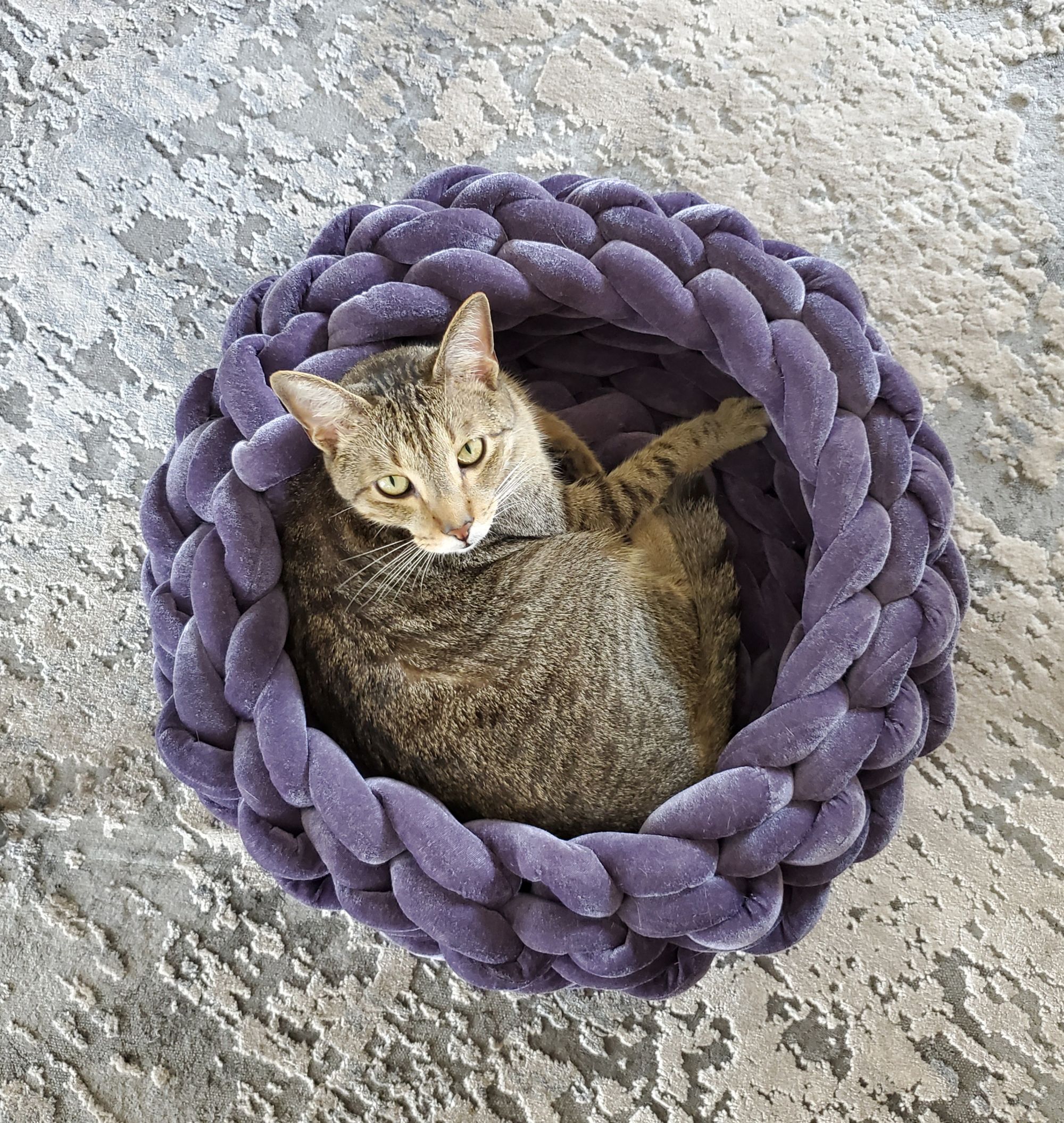 Catur Decor PETB036MD Pet-Beds - View #3