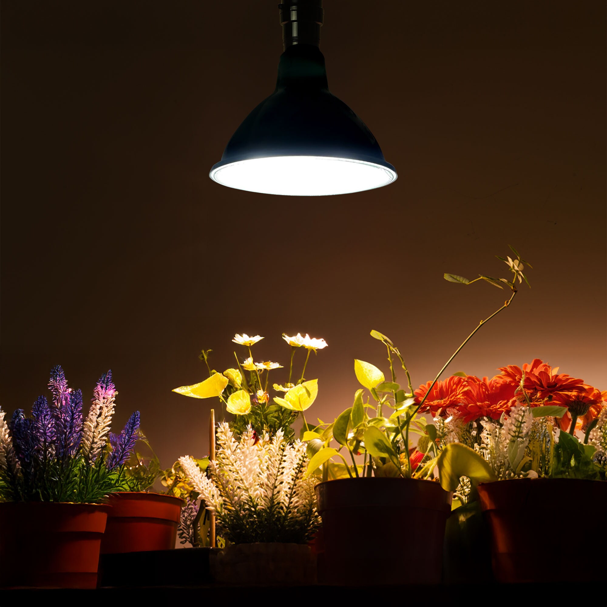 Utilitech Z-GR-PAR38-3S Grow-Lights - View #9