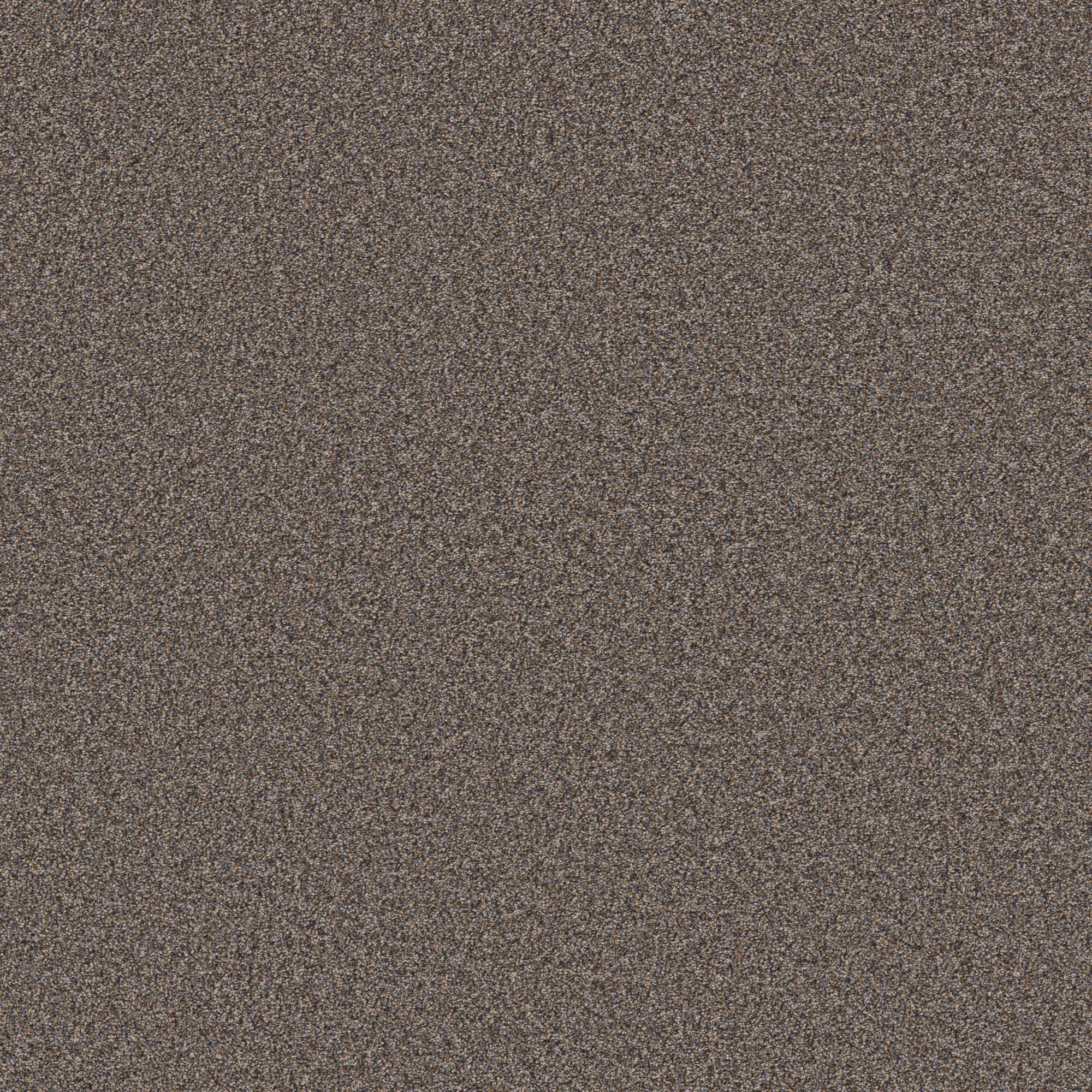 STAINMASTER PetProtect 7L930-266-SAMP (Sample) with LeakDefense Pacific Charm I Haystack Brown 58.5-oz sq yard Polyester Textured Indoor Carpet