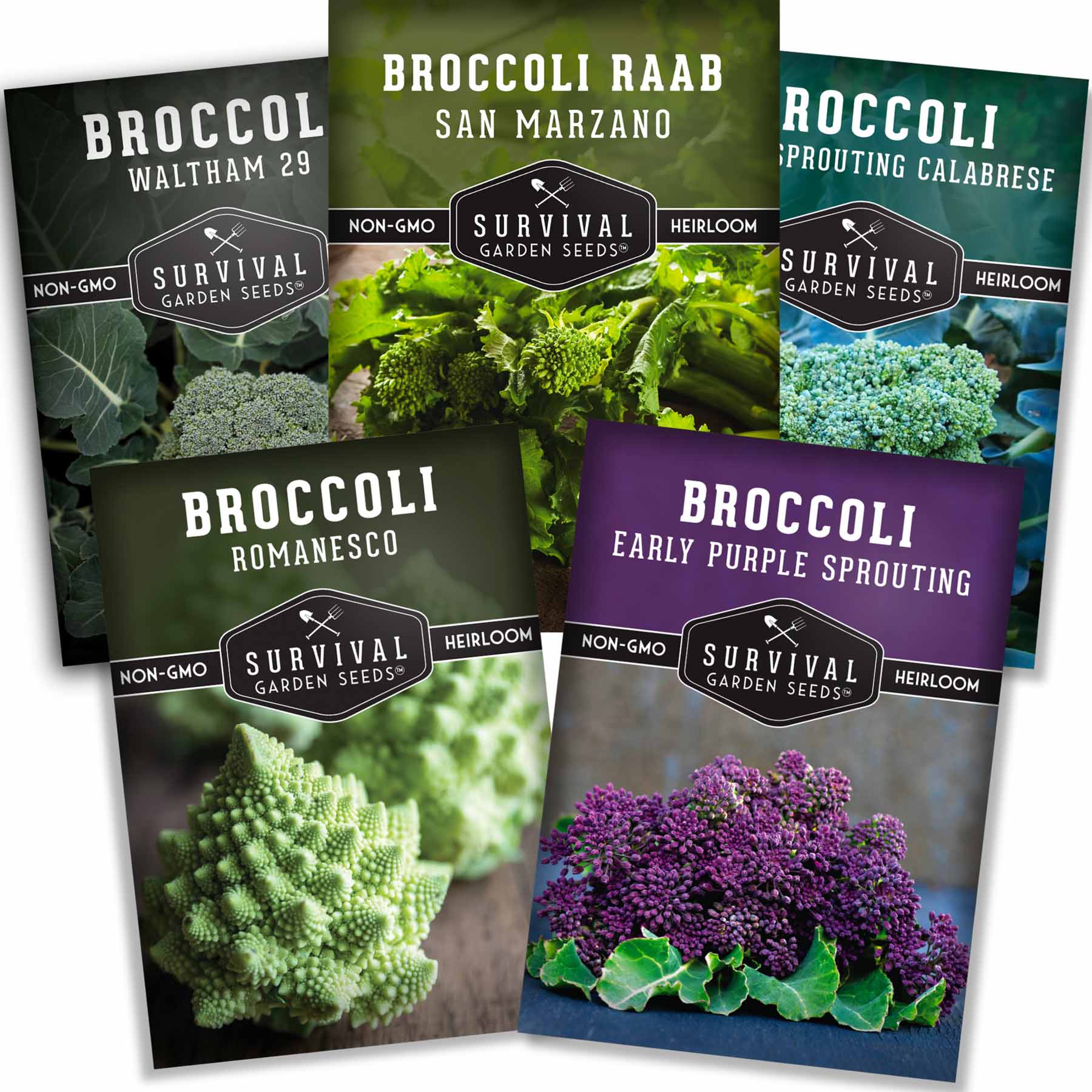 Survival Garden Seeds Broccoli 5 Variety Seed Collection for Cool Season Gardens
