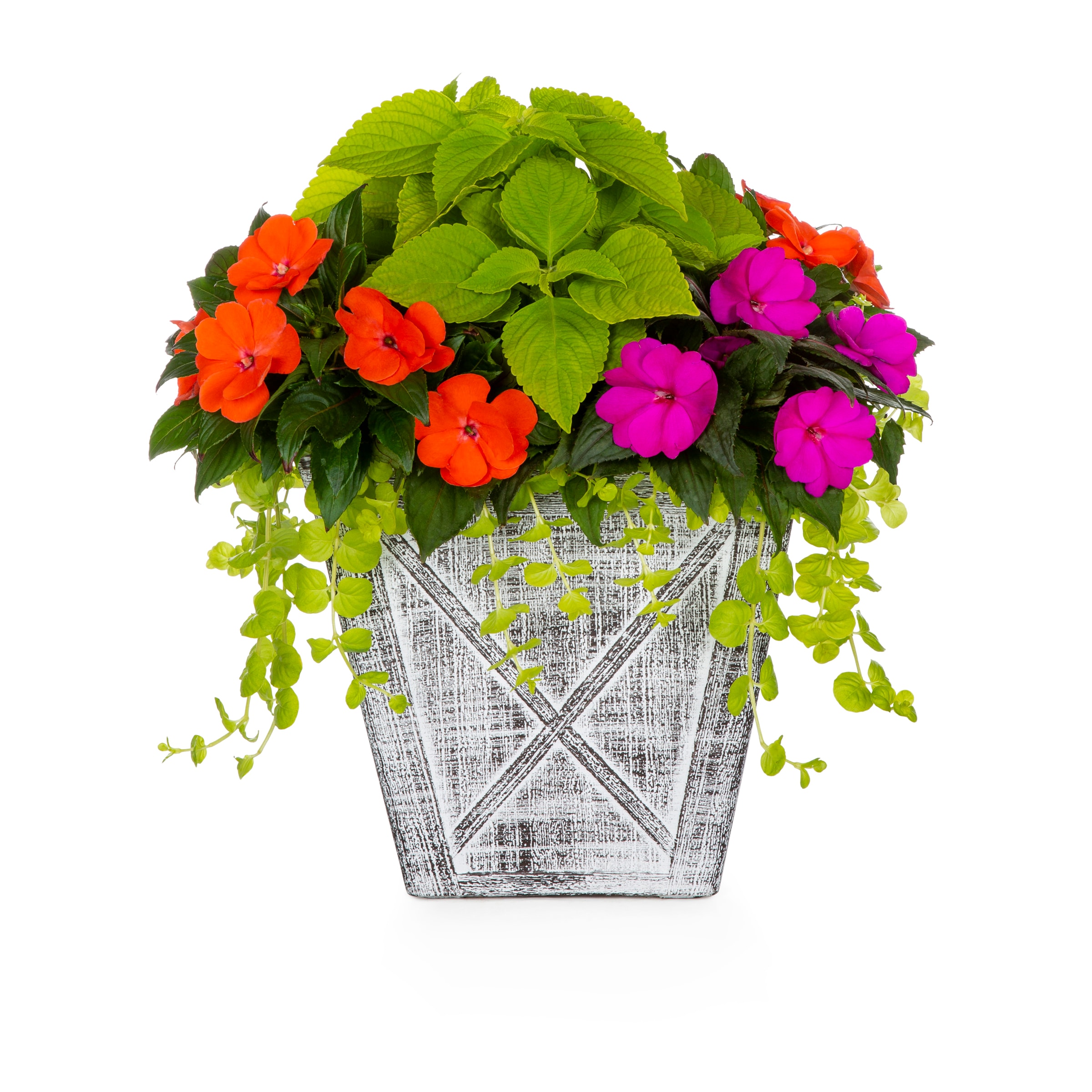 Lowe's Multicolor Mixed Annuals Combinations in 3-Gallon Planter in the ...